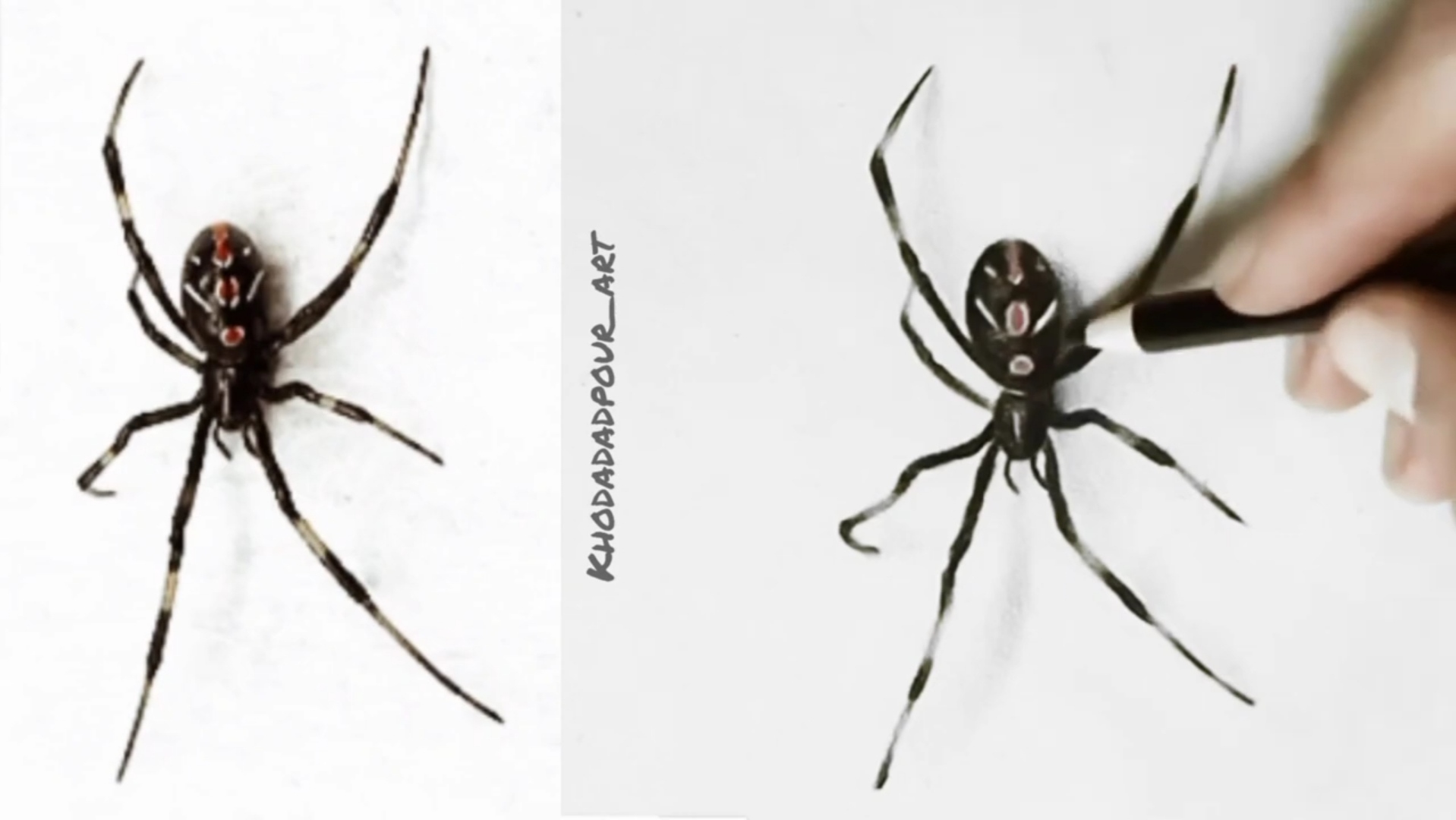 Spider drawing tutorial ـ step by step