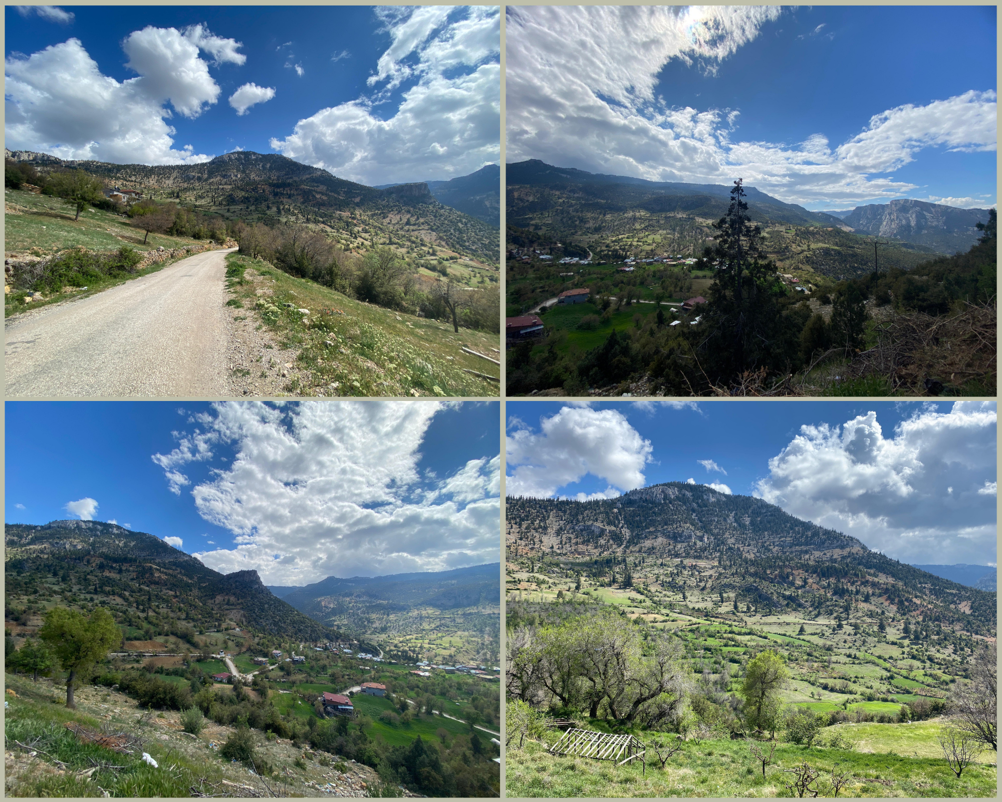 A Long Nature Walk #2 - Uzun Bir Doğa Yürüyüşü #2 [EN-TR]