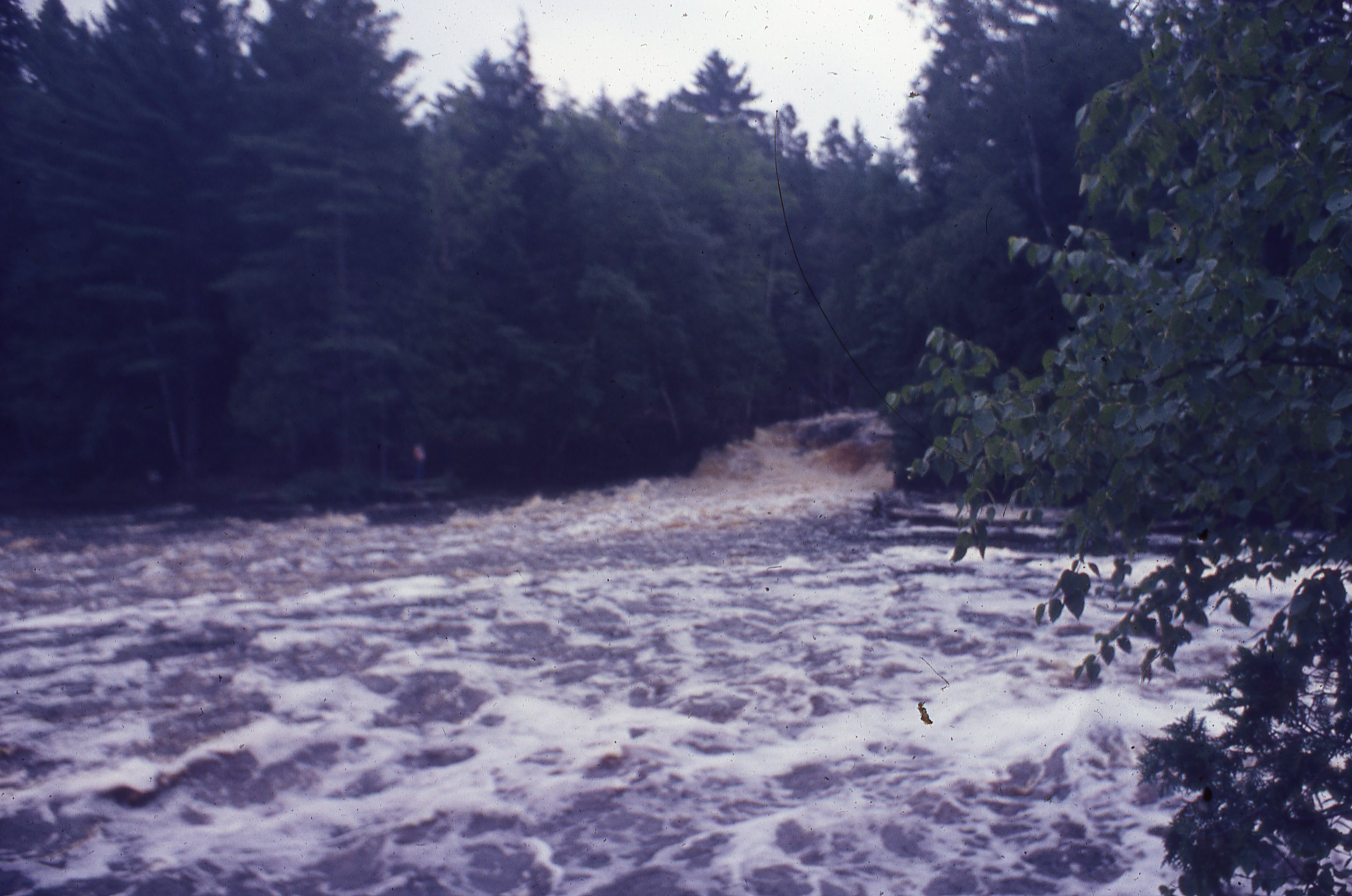 Vintage Photos - Lot 6 (145-148)