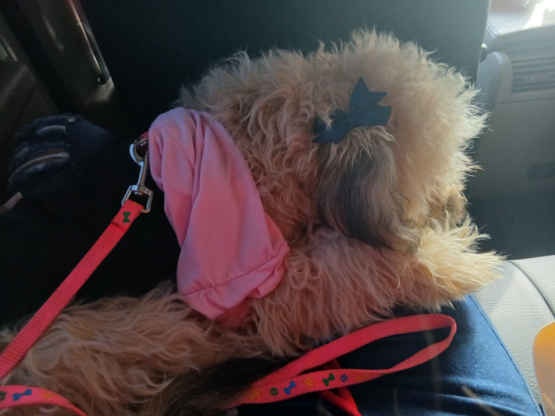 Día en familia [Esp/Eng]