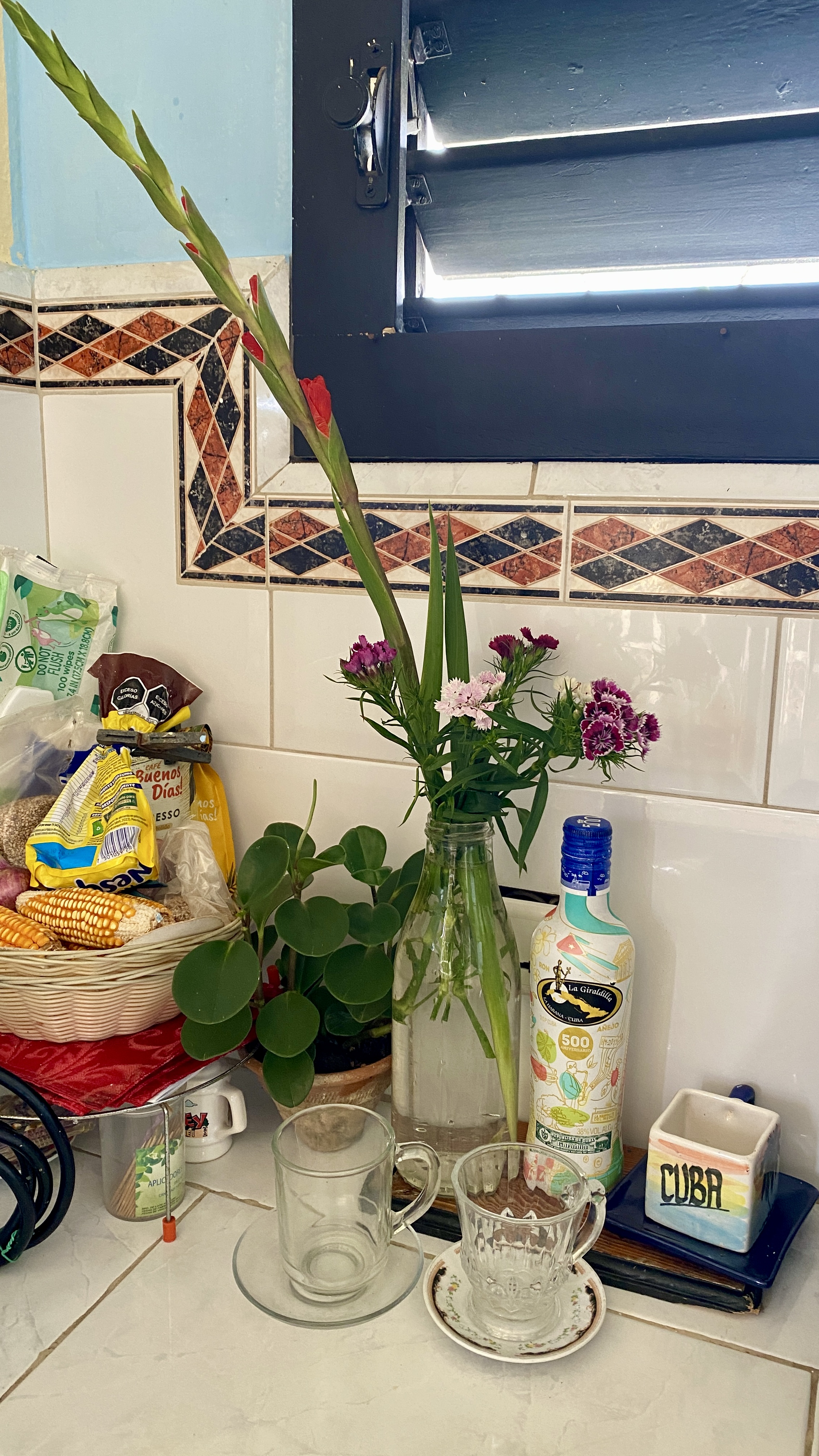 A bike, a muddy town & 3 flowers  (EN, SP, PT)