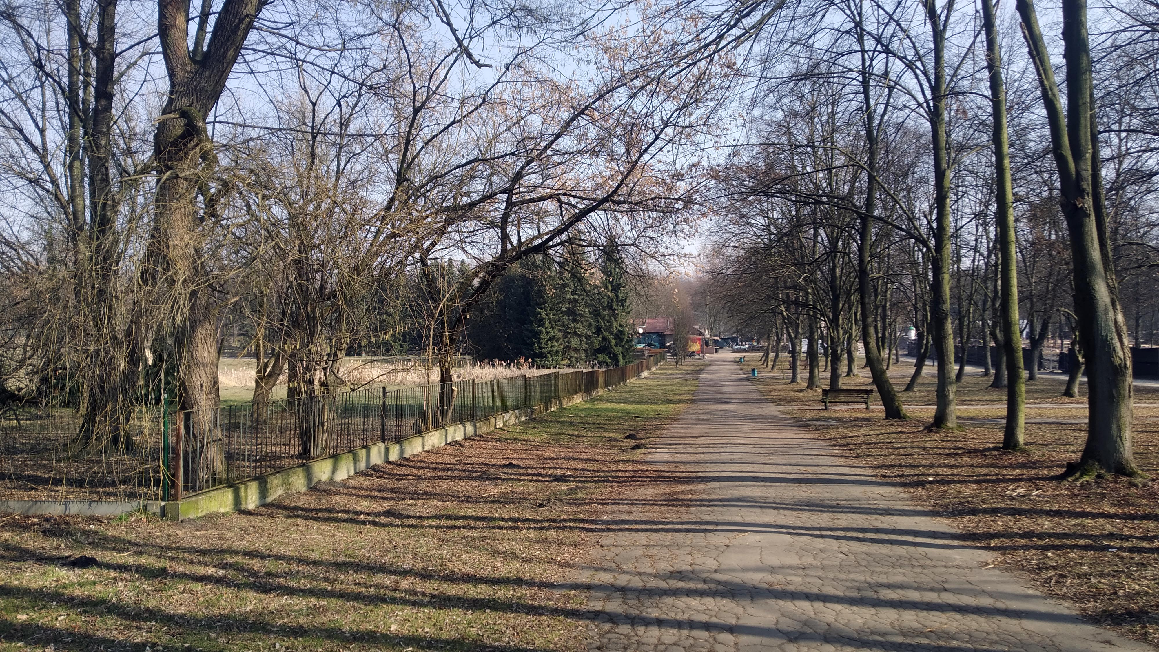 Kontynuacja wiosennej aury - My Actifit Report Card: March 4 2026