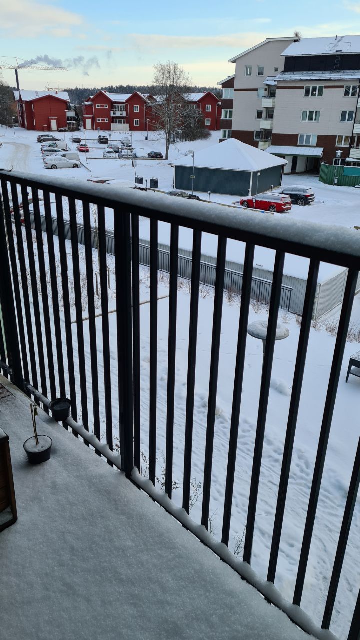 Let it snow, let it snow, let it snow!  - 01302021