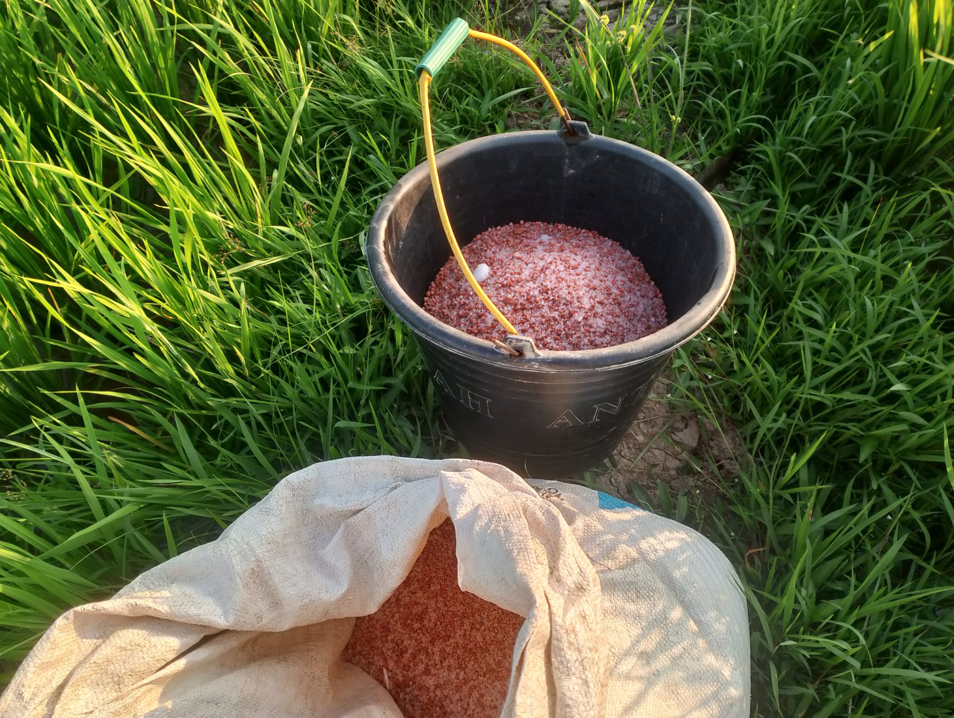 My Actifit Report Card: March 5 2026