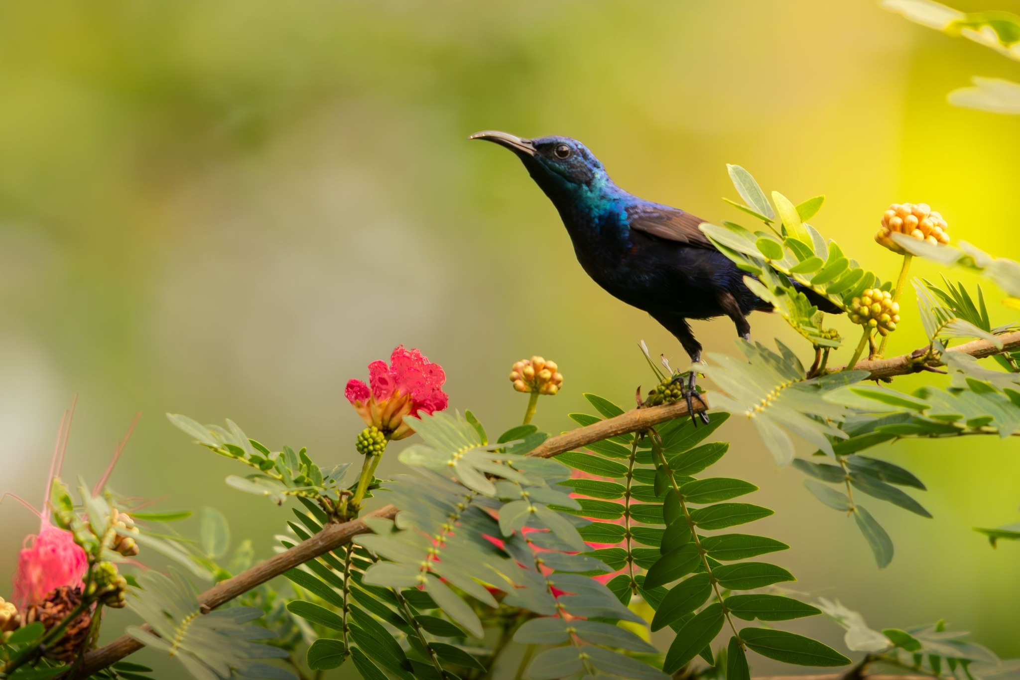 My Actifit Report Card: February 24 2026