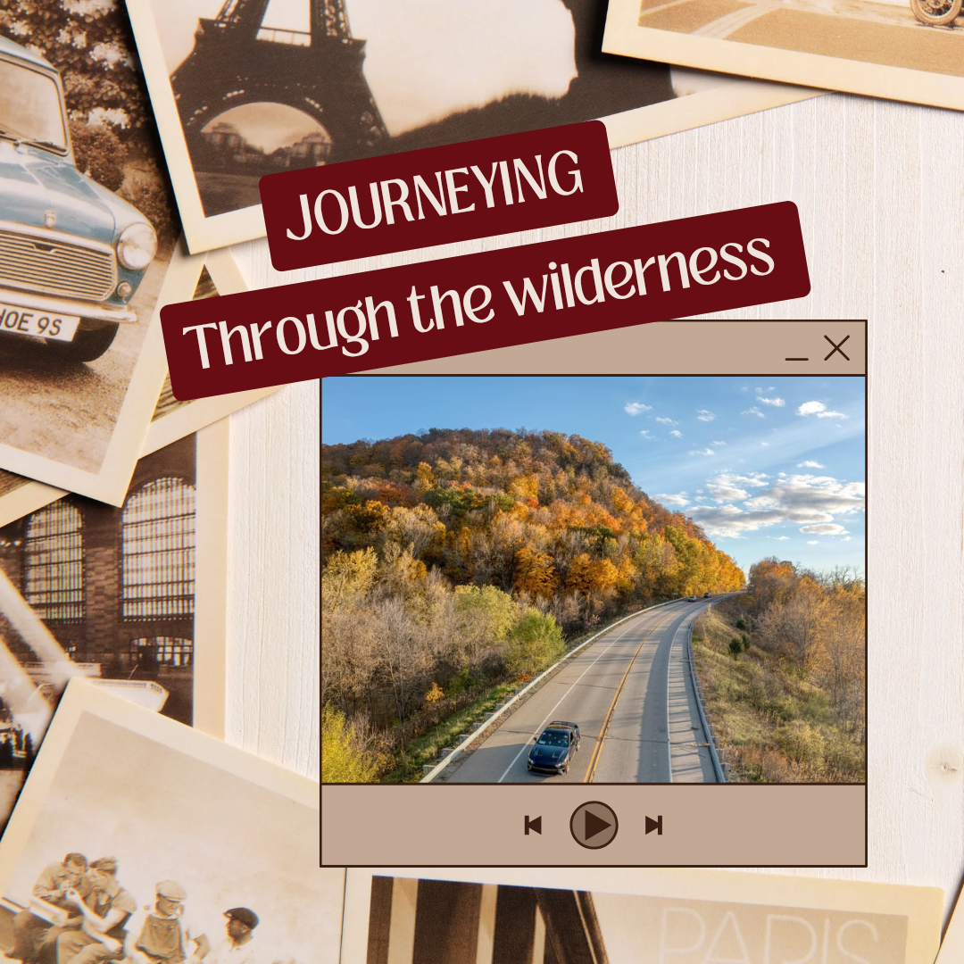 ᴊᴏᴜʀɴᴇʏɪɴɢ ᴛʜʀᴏᴜɢʜ ᴛʜᴇ ᴡɪʟᴅᴇʀɴᴇss