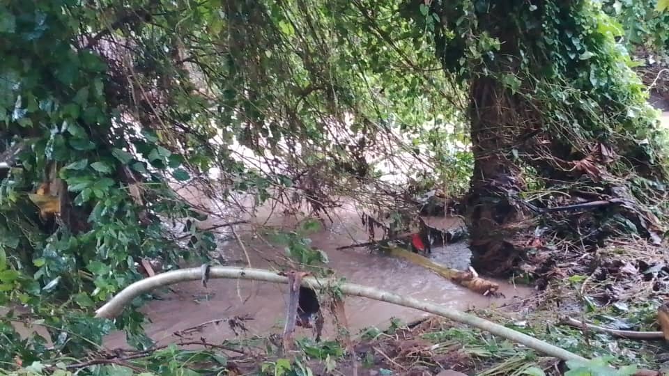 Segunda Convocatoria de La Forja Fractal. Imelda.[ESP-ENG]