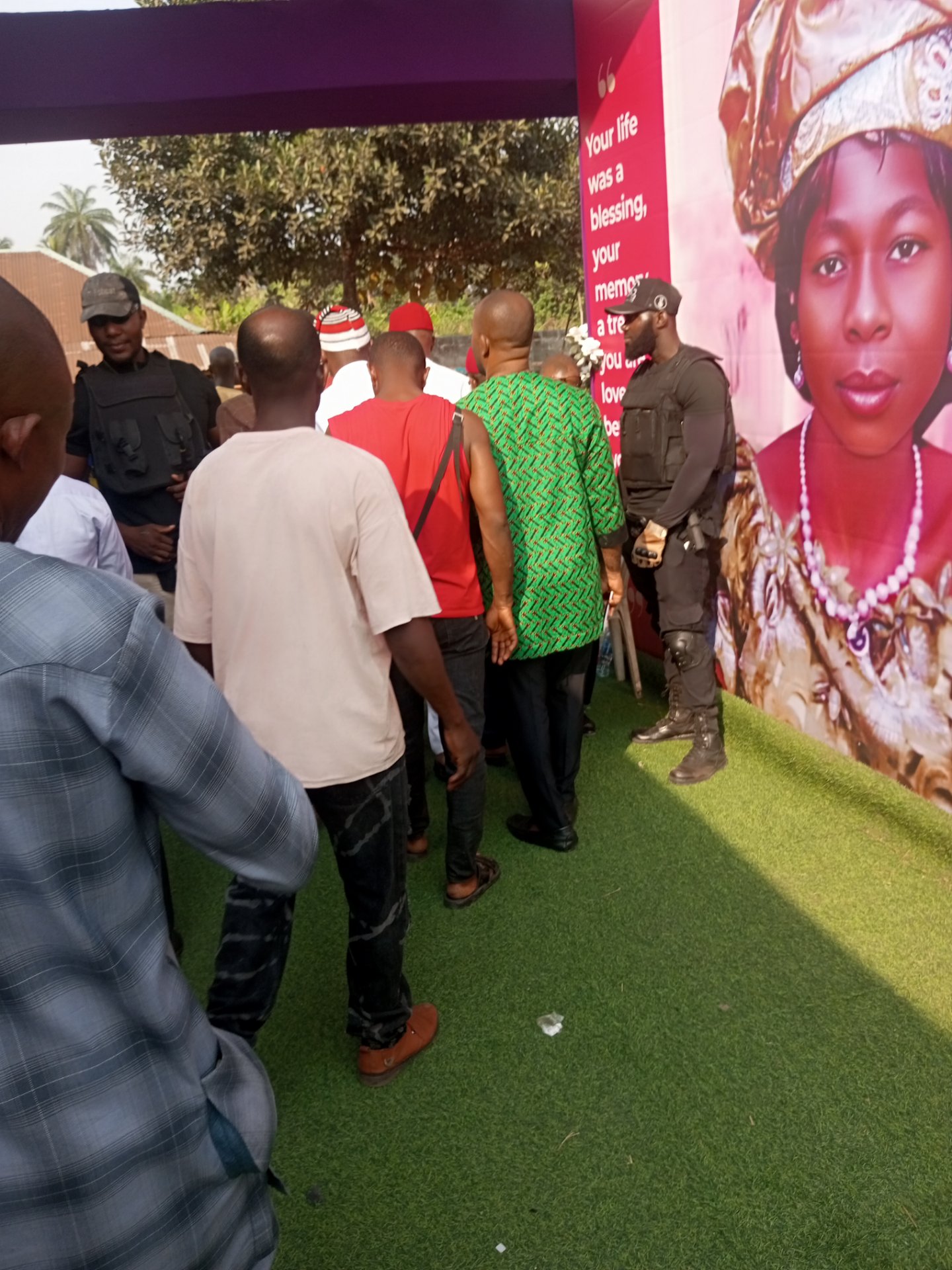 My response to the contest  numbers one and two of #278th, edition of the #ladiesofhive community.