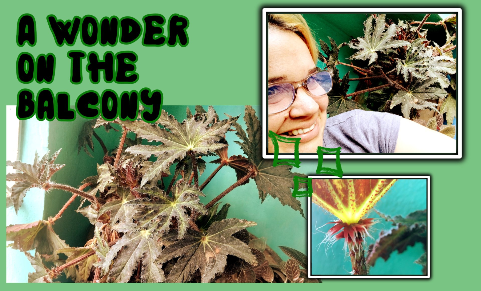 A wonder on the balcony [Eng/Esp]