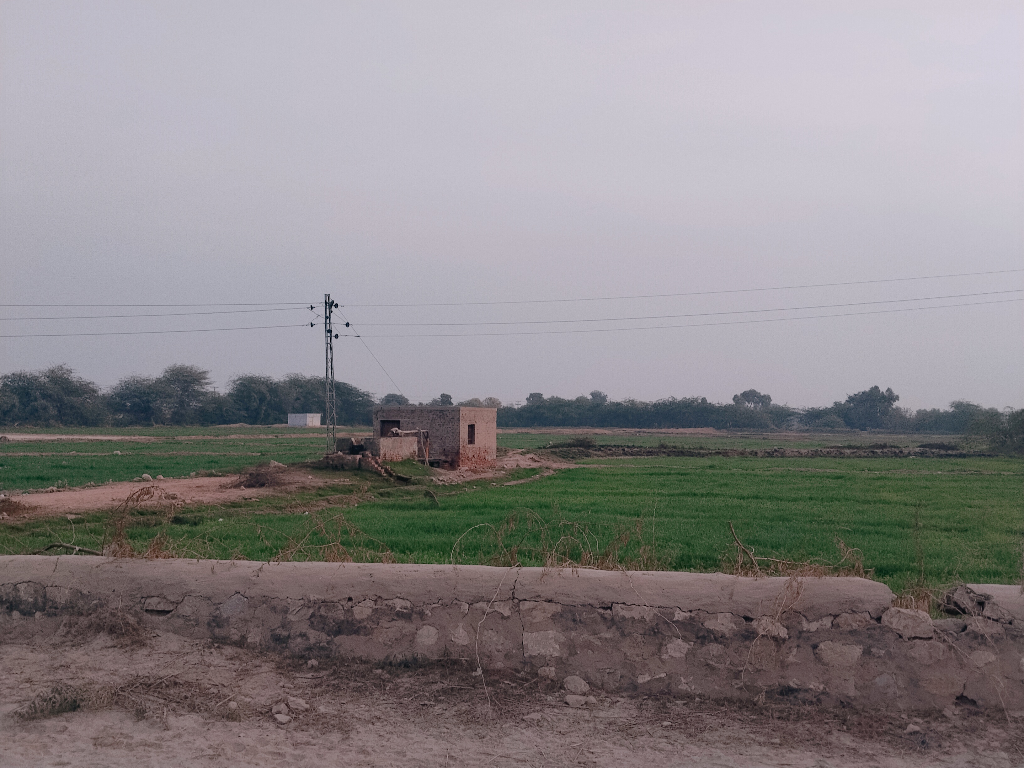 Exploring the Spiritual and Sacred Heritage|| Visit to the Holy Monument of Physician Bawa
My Actifit Report Card: December 19 2025