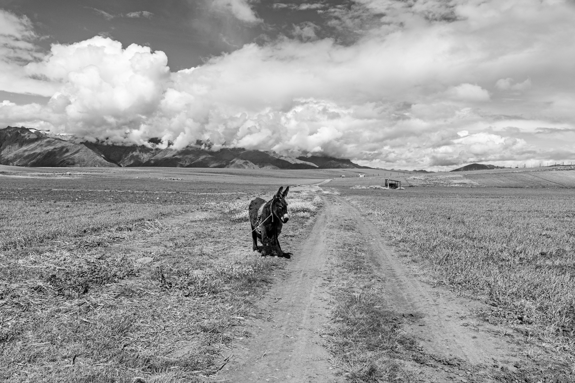 MONOMAD - March 4th, 2026 - Make Sure To Read Our Community And Contest Rules Before Submitting Your Publications.