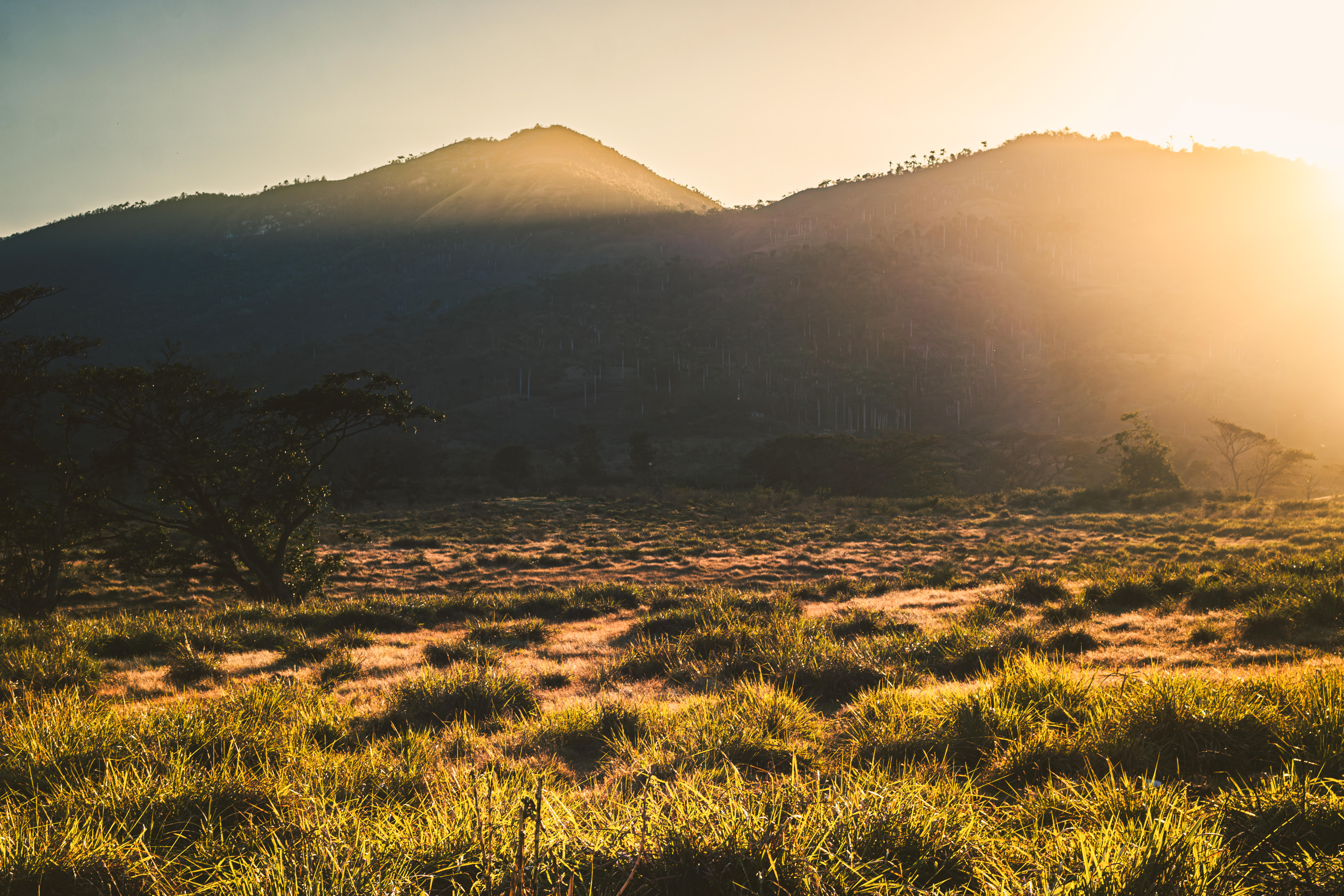 La Luz Mágica que Baña al Valle - The Magical Light that Bathes the Valley [Esp - Eng]