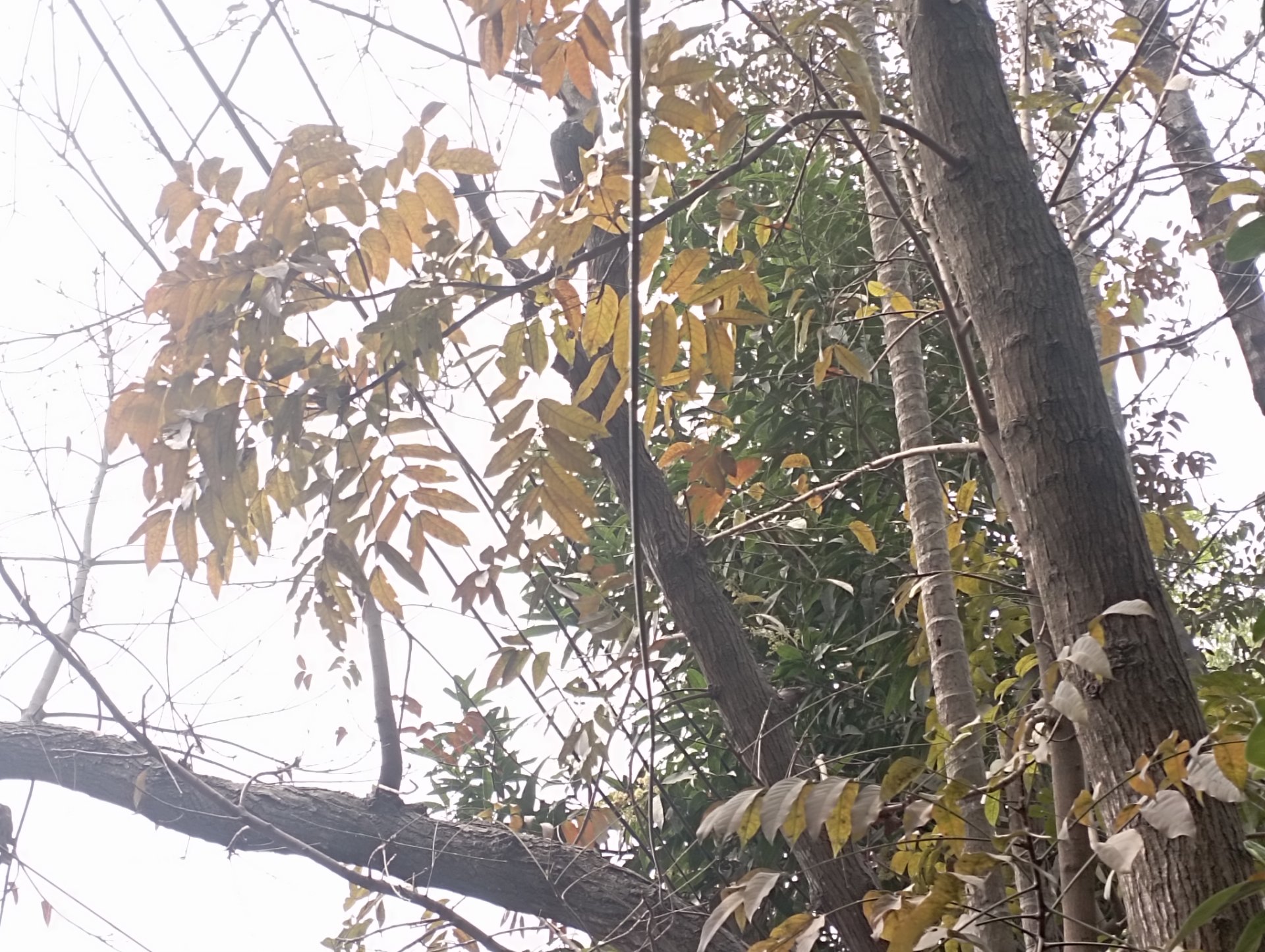 I share with you some wonderful images and captivating scenes of the season of spring.