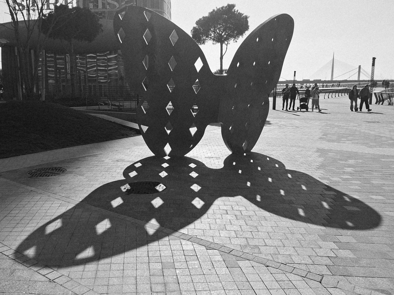 Entry for the Shadow Contest/SMASh - Krila leptira