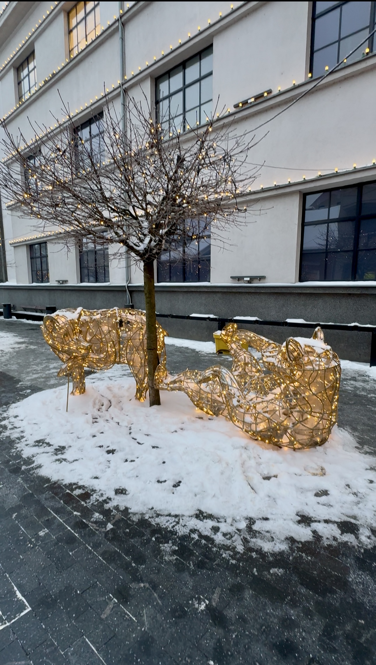 Подорожі одним днем