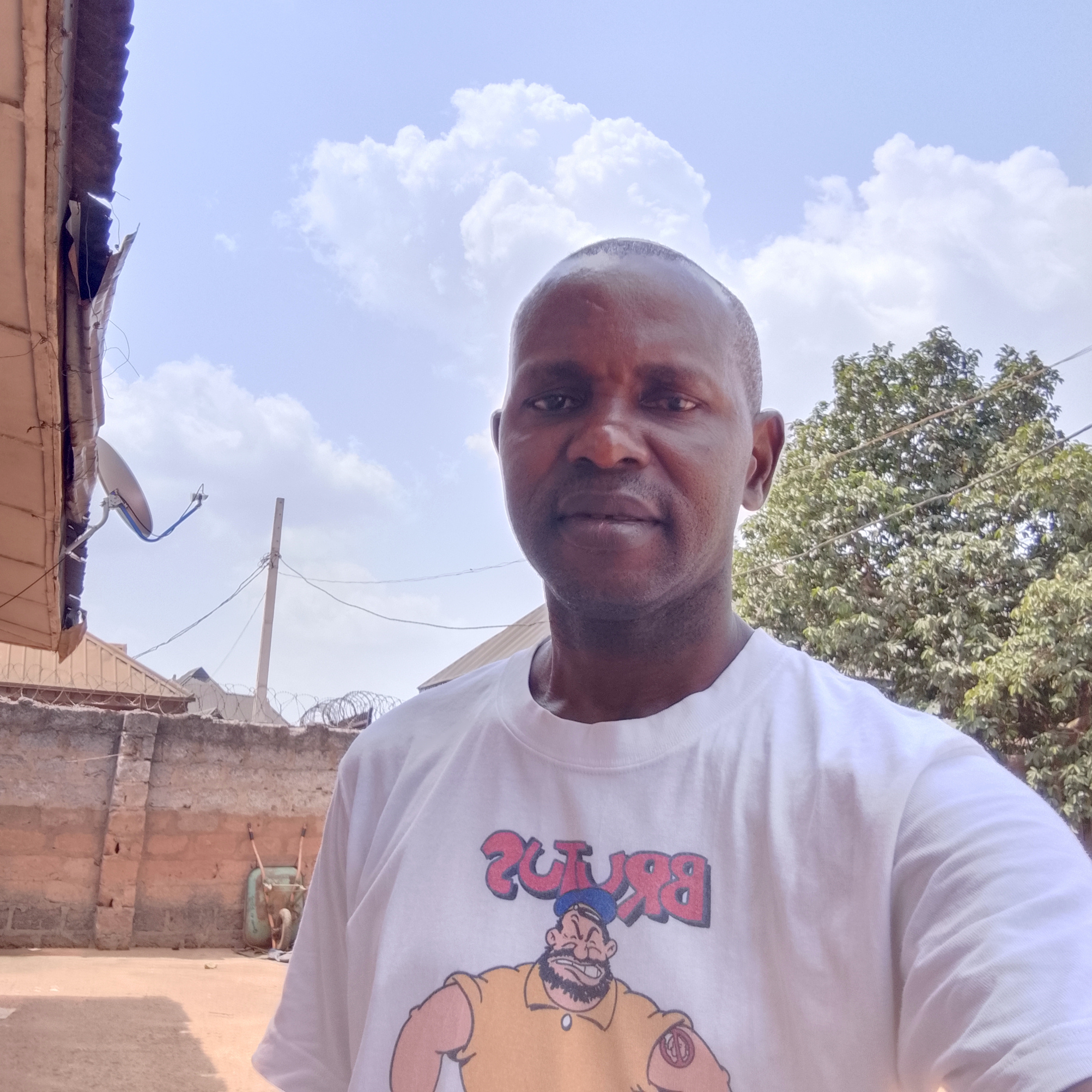 Questioning the Path I once Knew/Cuestionando el camino que una vez conocí