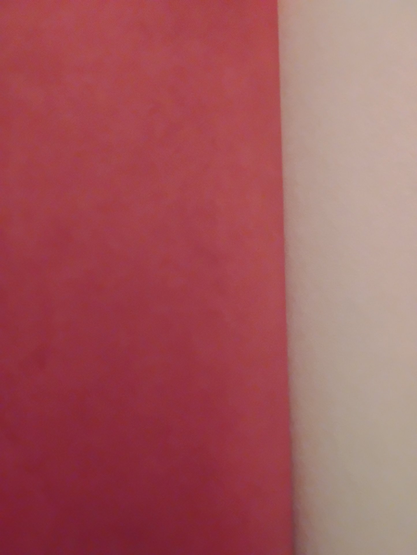 Finishing "Cirque Du Freak - A Living Nightmare..." - Chapters 26-33 - My Thoughts