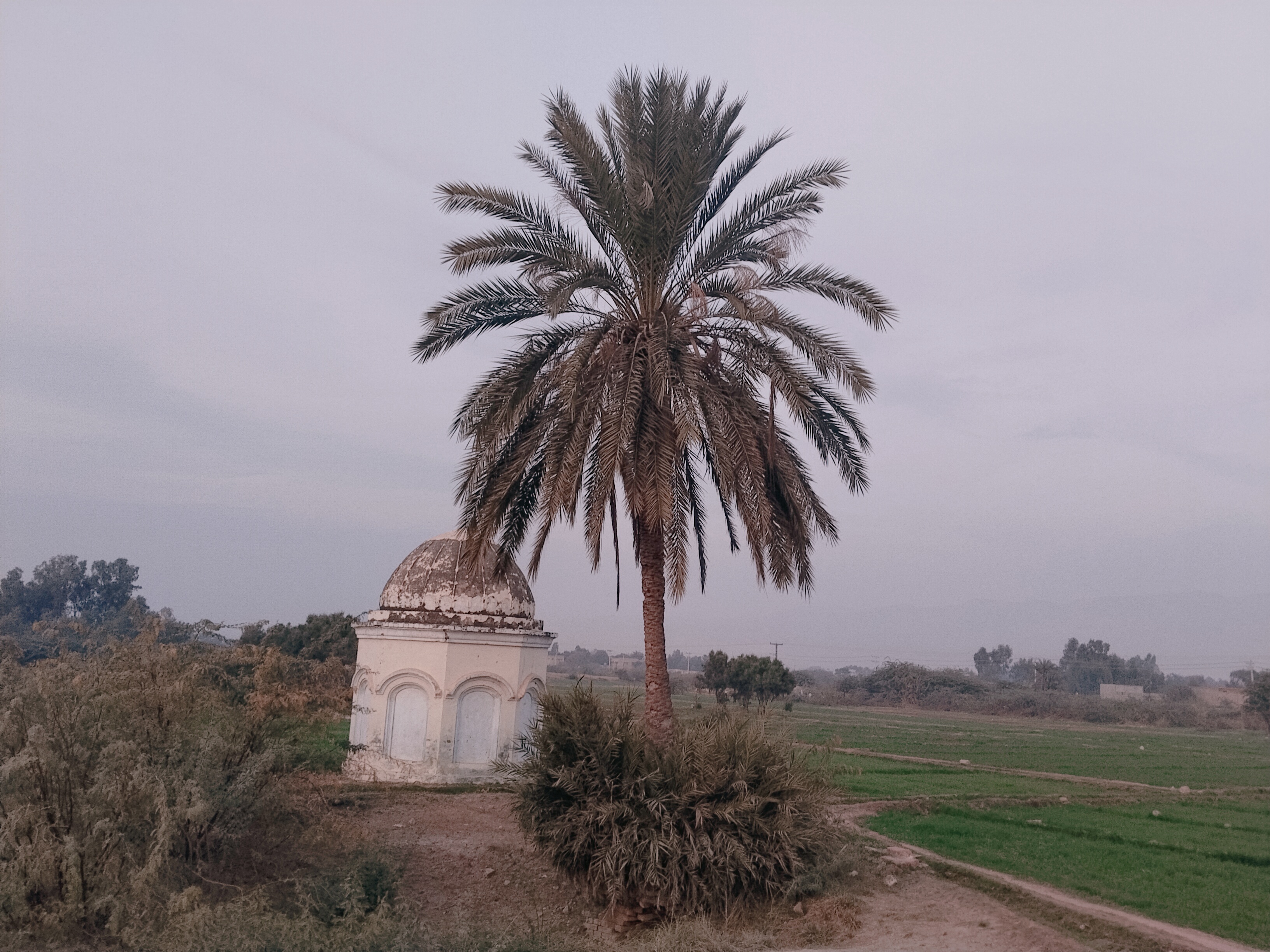 Exploring the Spiritual and Sacred Heritage|| Visit to the Holy Monument of Physician Bawa
My Actifit Report Card: December 19 2025