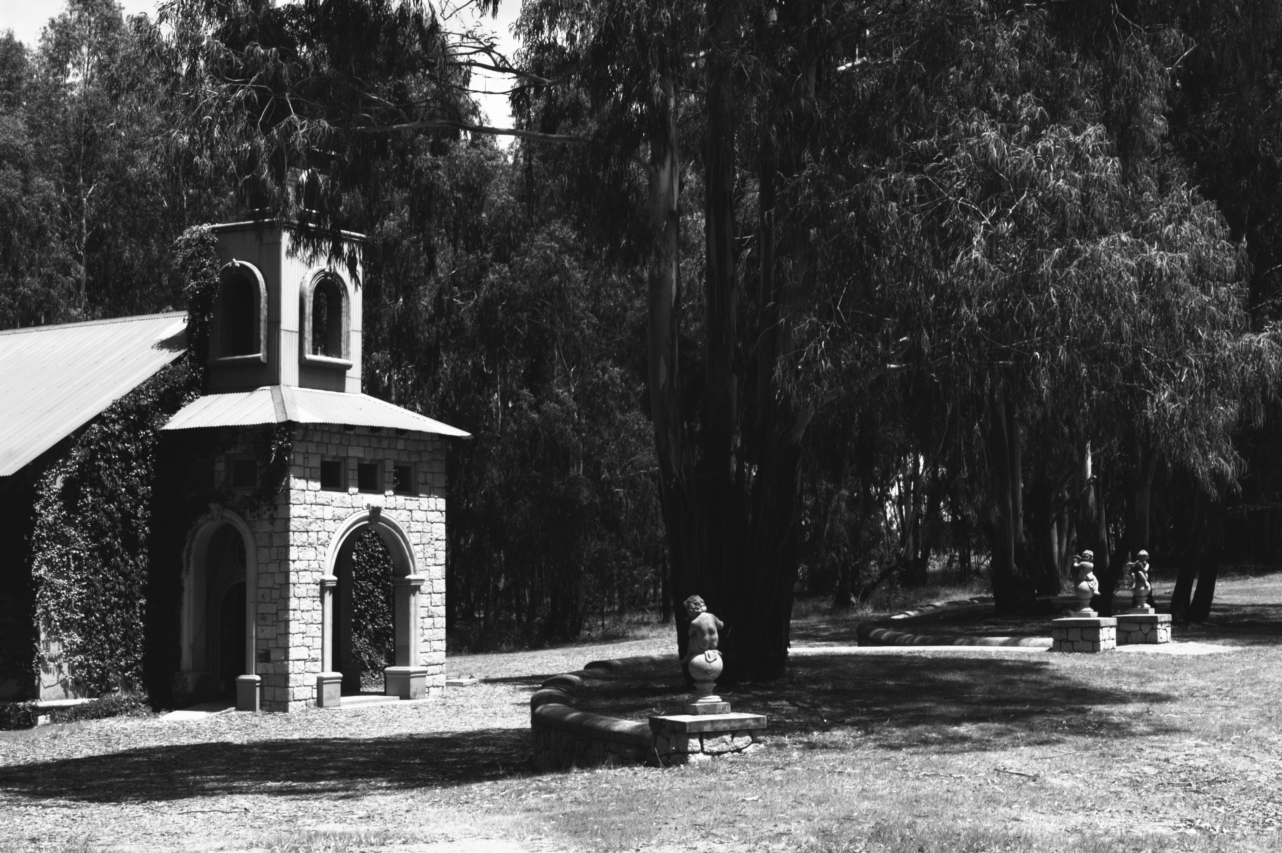 Snapshots - Chapel By The Water