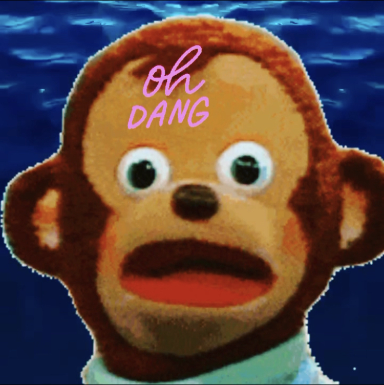 Say happy anniversary to "Hoard TP"...