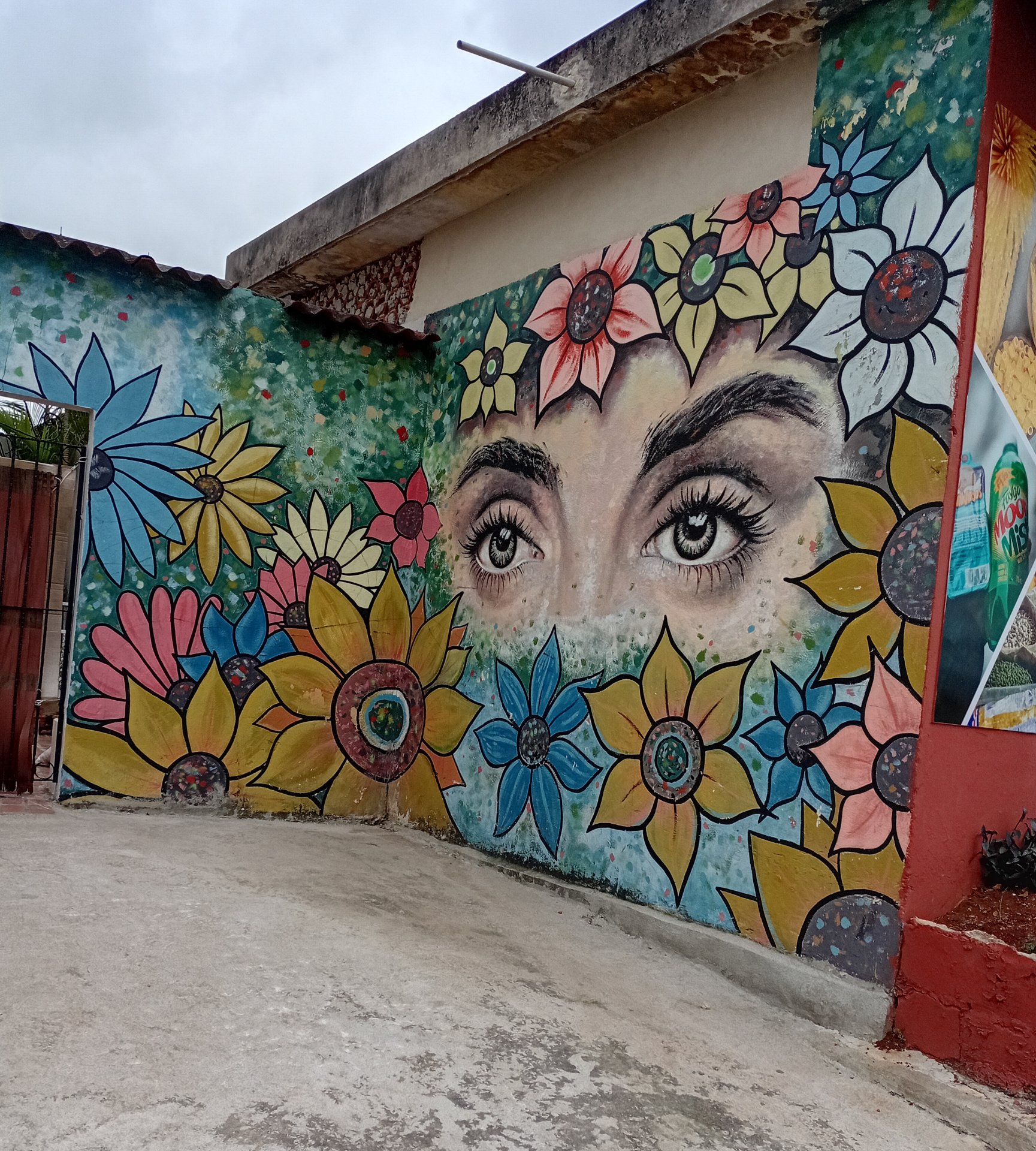 The Best of Discovery-it #2054