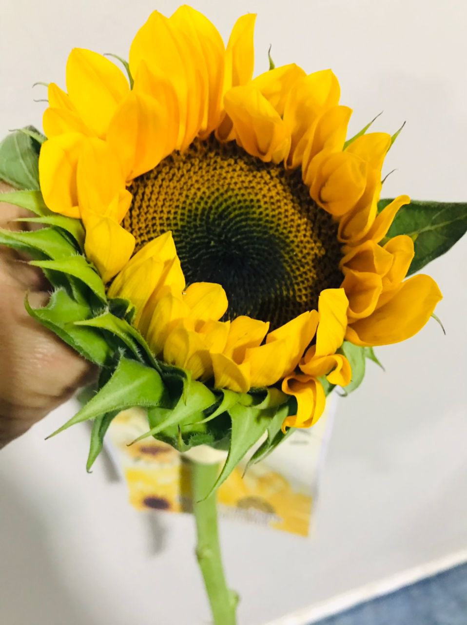 WE300 || Nothing is in vain, life ...