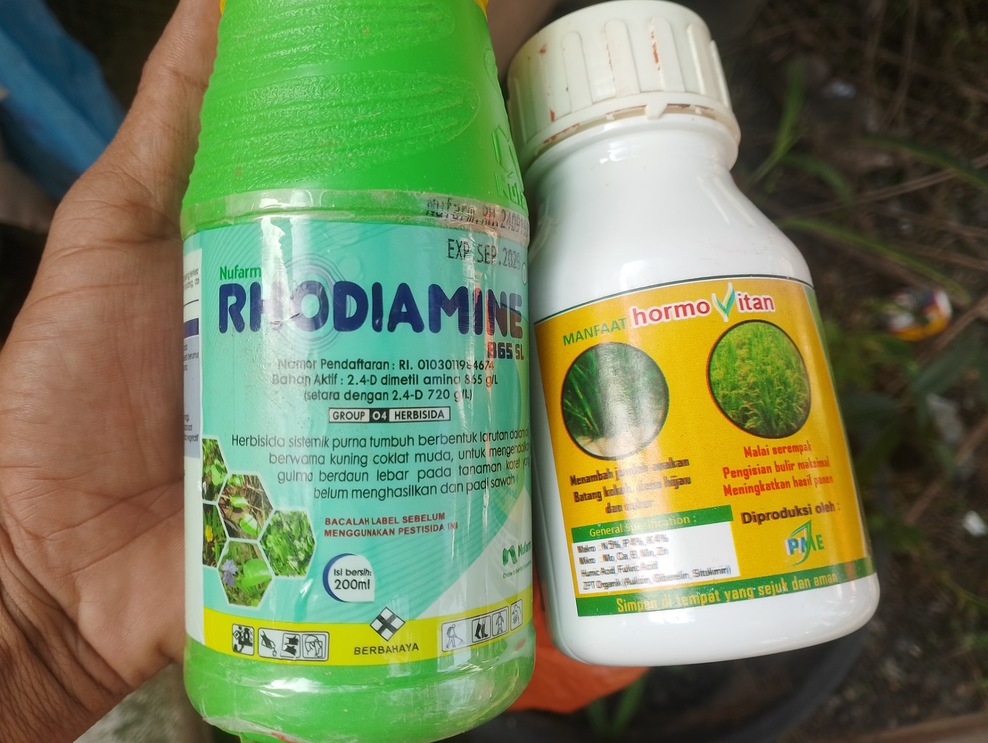 My Actifit Report Card: March 4 2026