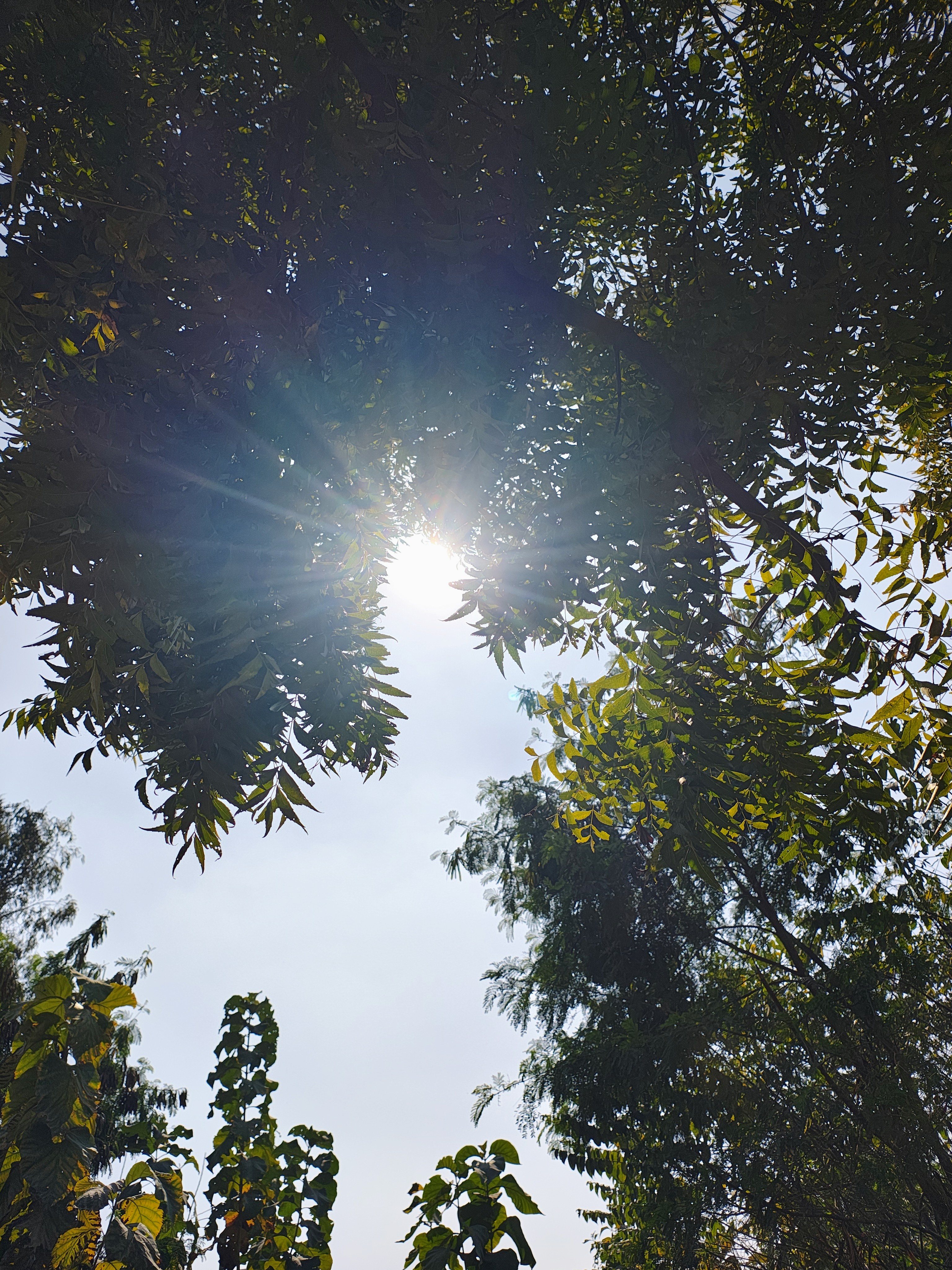 February Sun Feels Like May Already