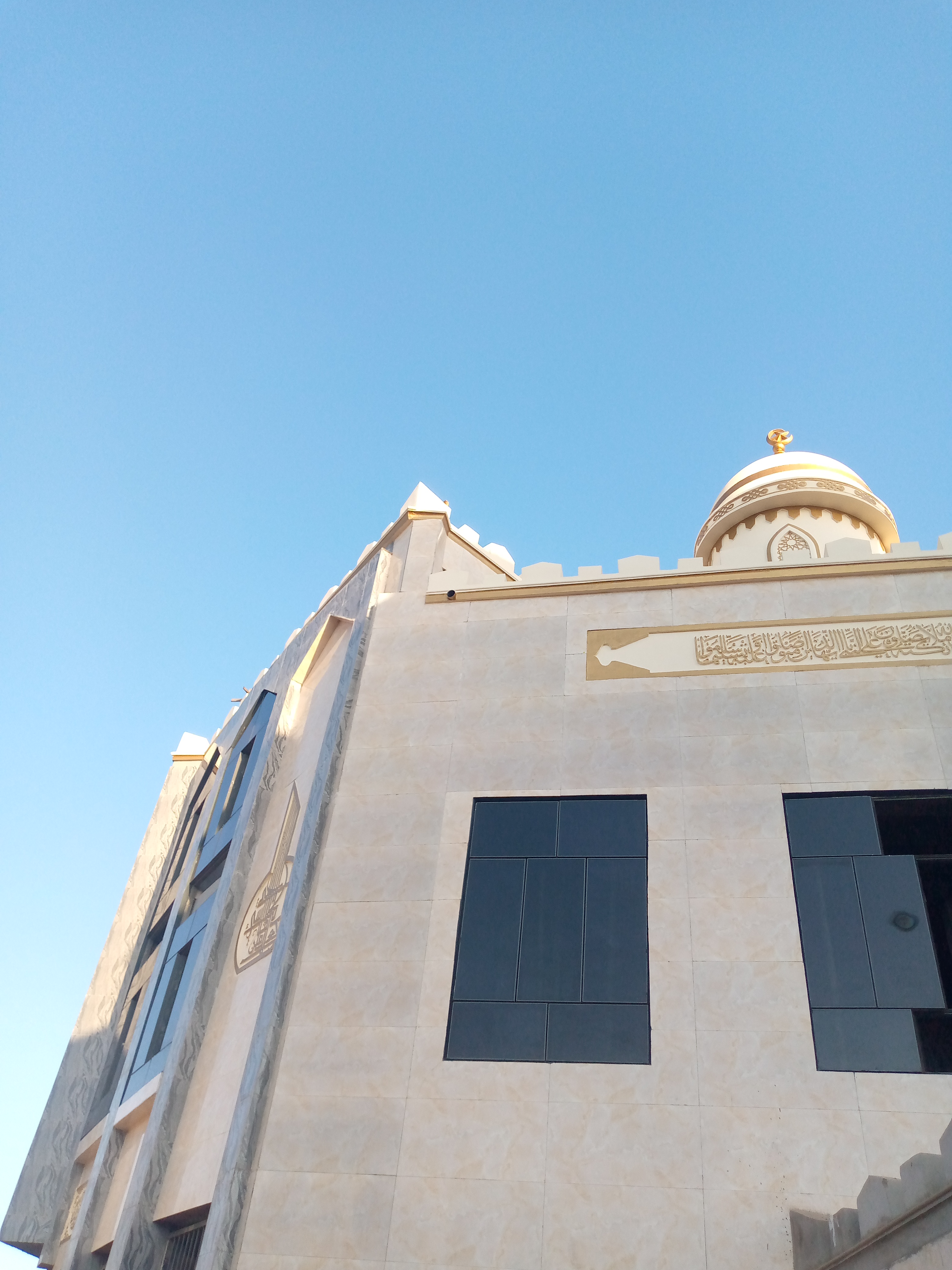 My Actifit Report Card: November 24 2025 || A Cool Tuesday Walk