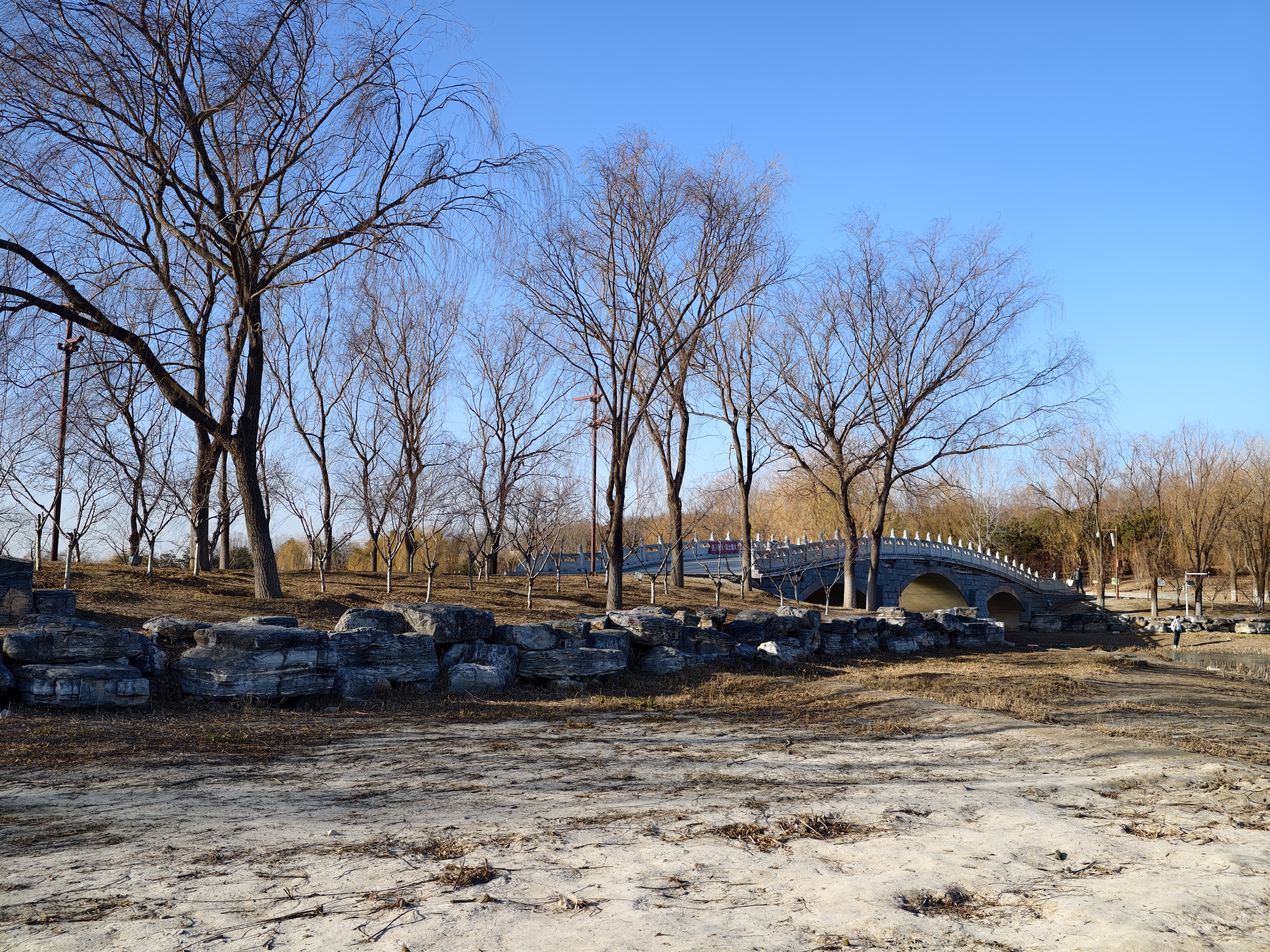 The Nature With Mono Color