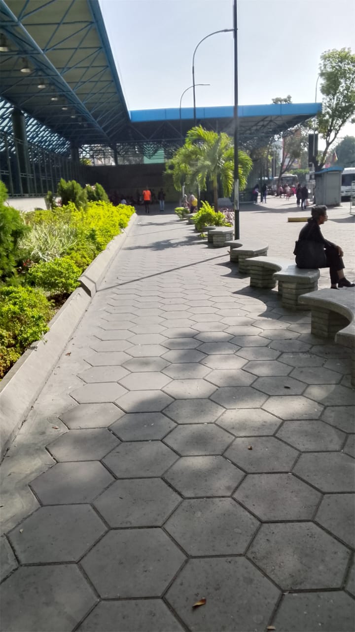 Shadow Hunters Community the shadow of the park protectors / la sombra de los protectores del parque