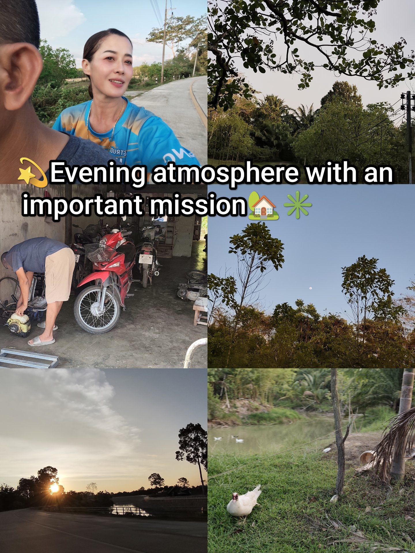  🌅 Evening atmosphere and an important mission: When the body craves nature and the smiles of my pets ♥️💖