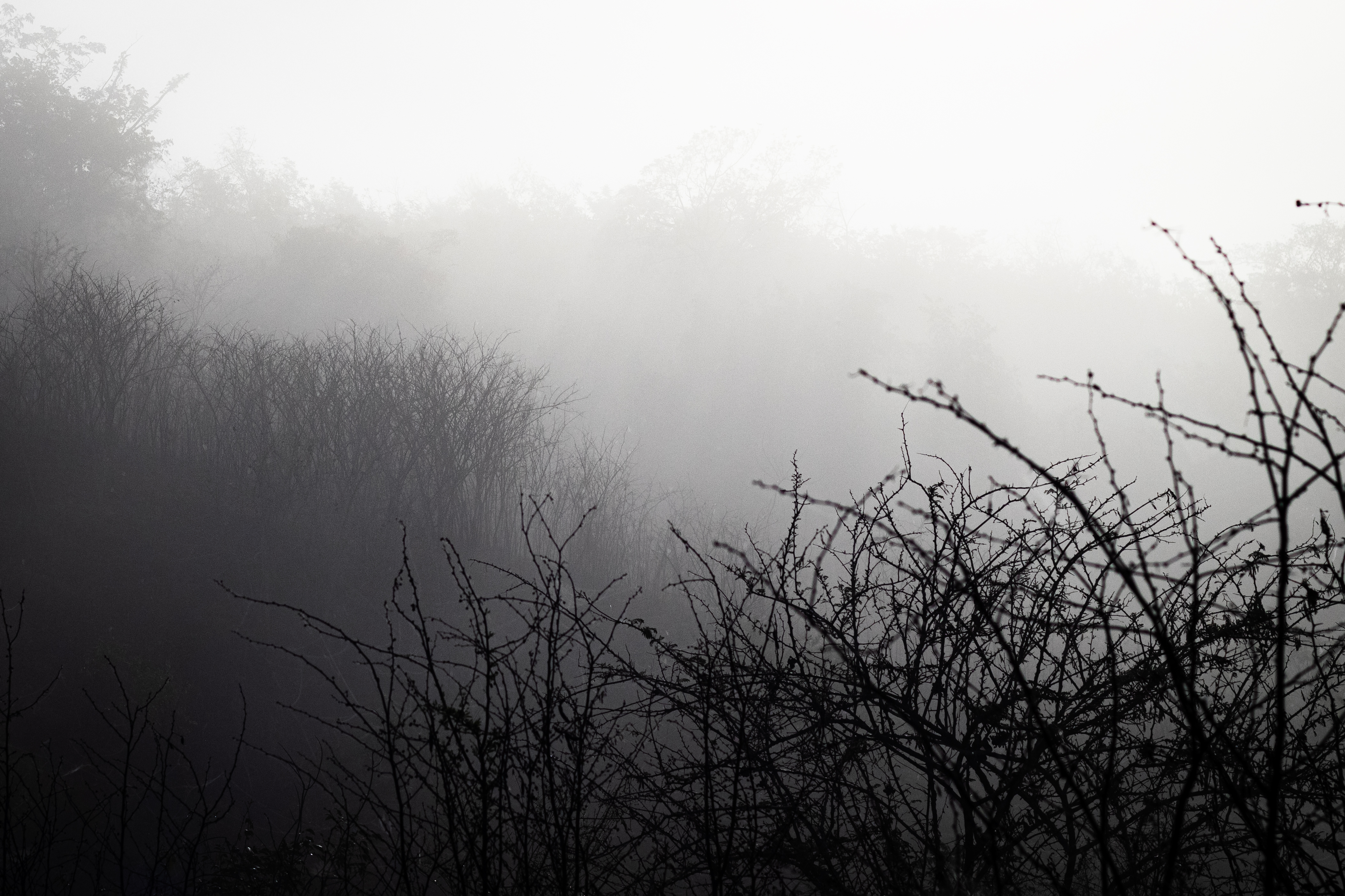 Sombras matutinas - Morning Shadows [Esp - Eng]