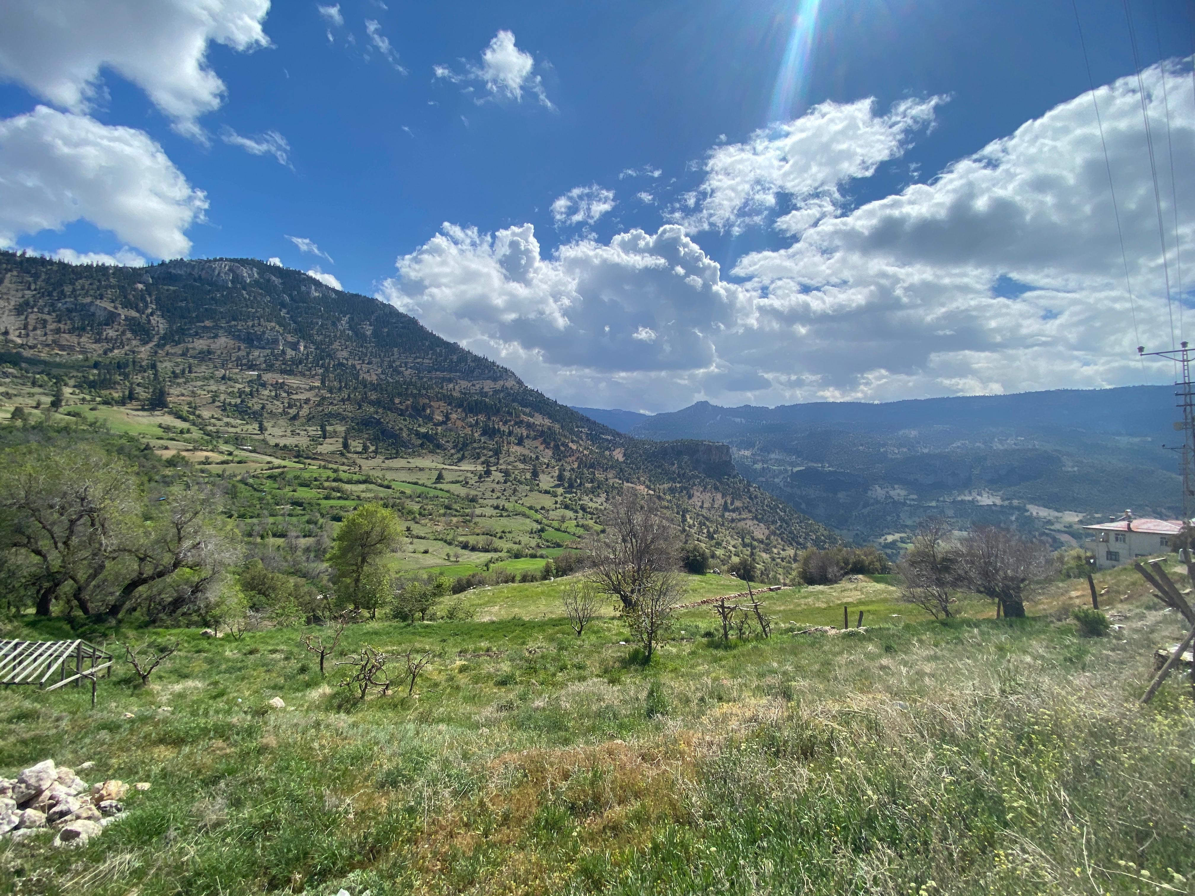 A Long Nature Walk #2 - Uzun Bir Doğa Yürüyüşü #2 [EN-TR]