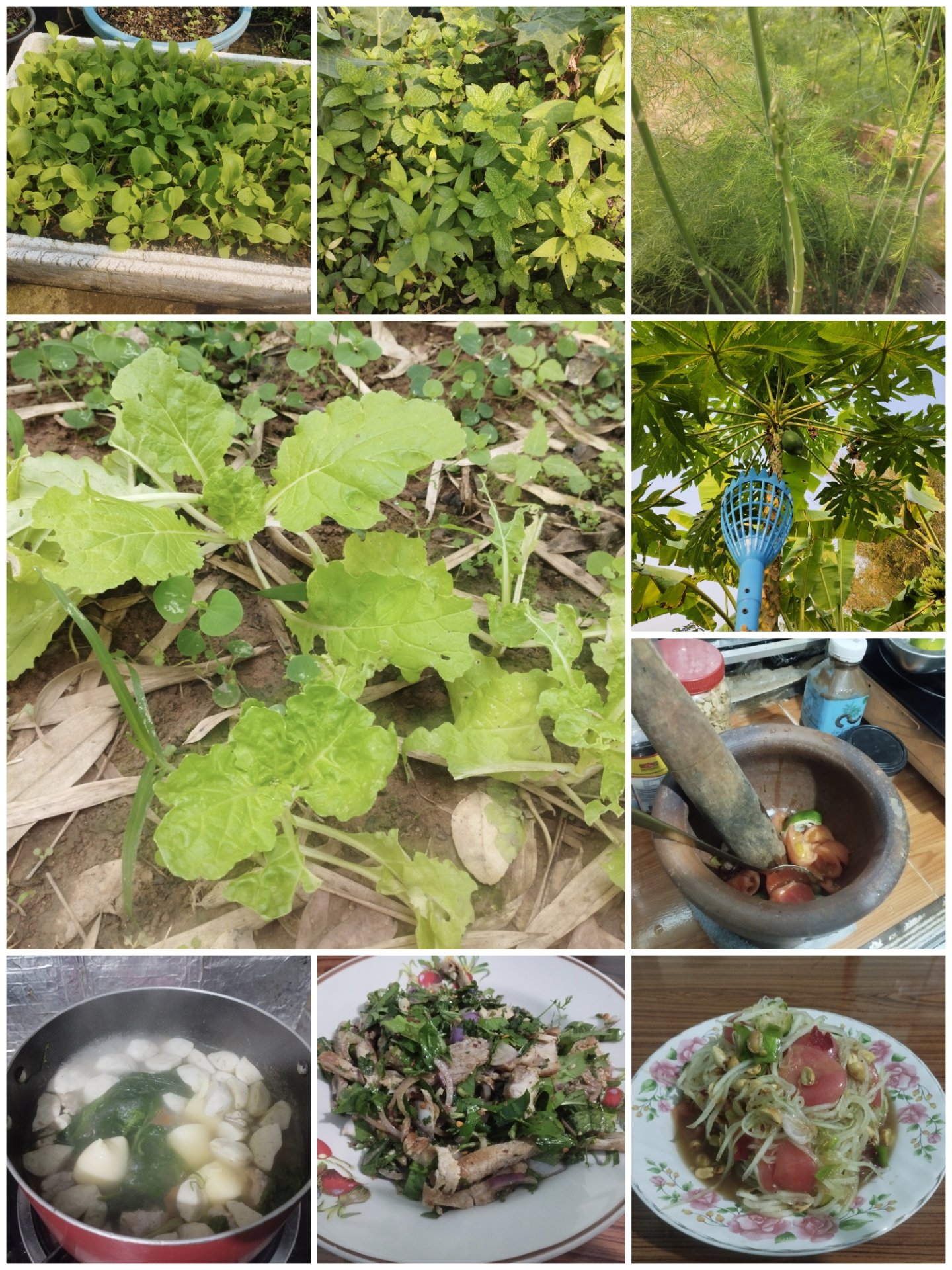 A simple lifestyle with simple food from vegetables in the home garden #13.