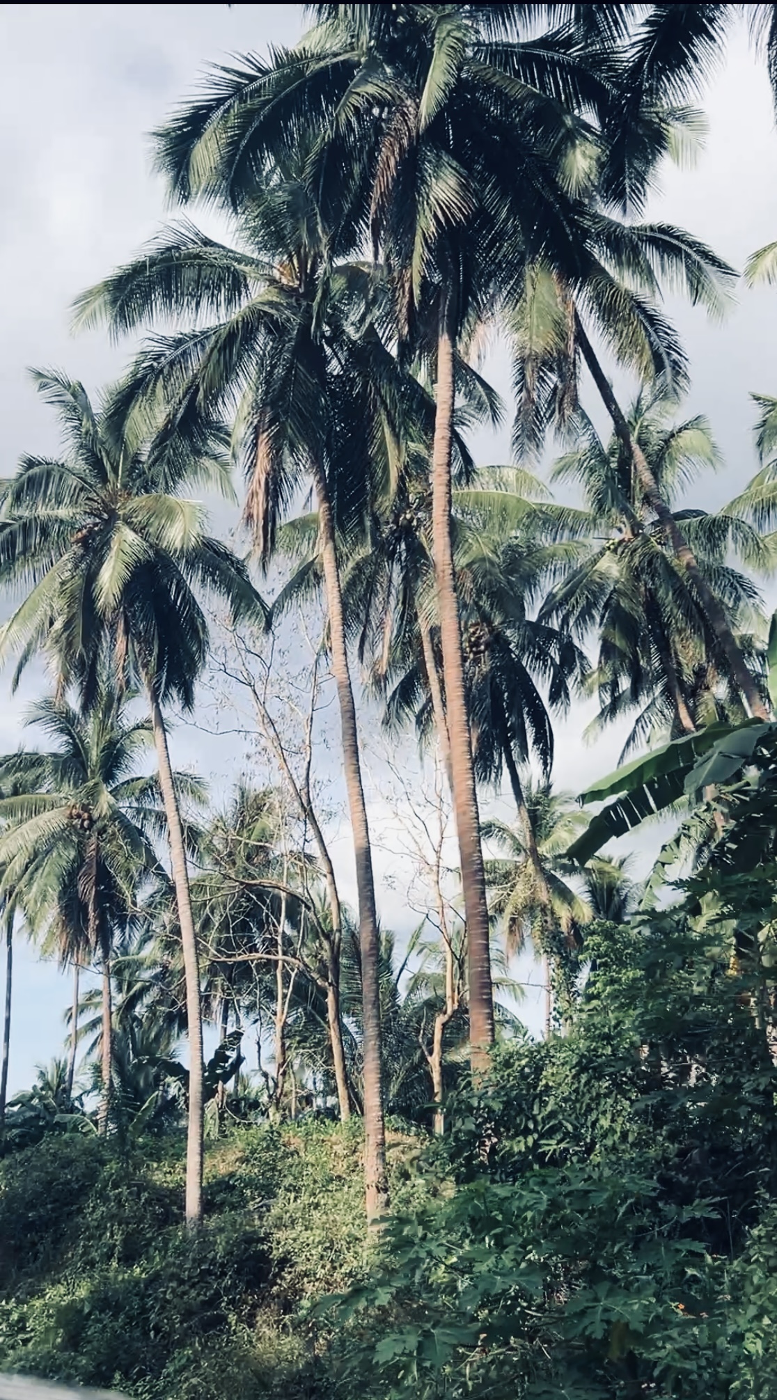 Travel: Lobo, Batangas City