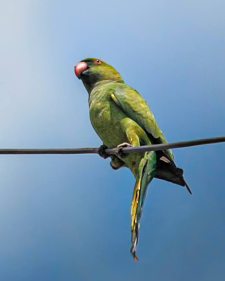 My Actifit Report Card: February 24 2026