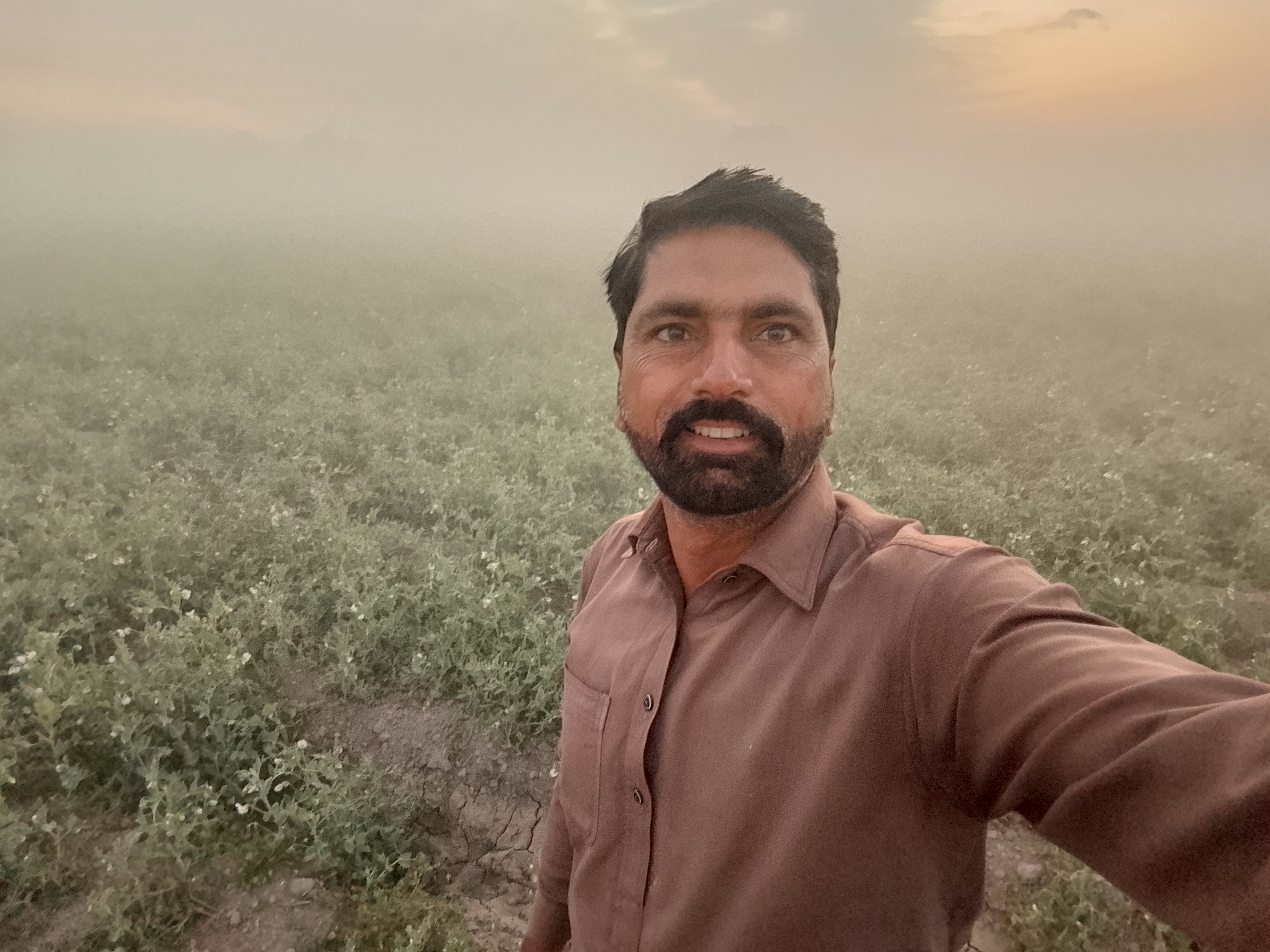 Mist to Golden Magic