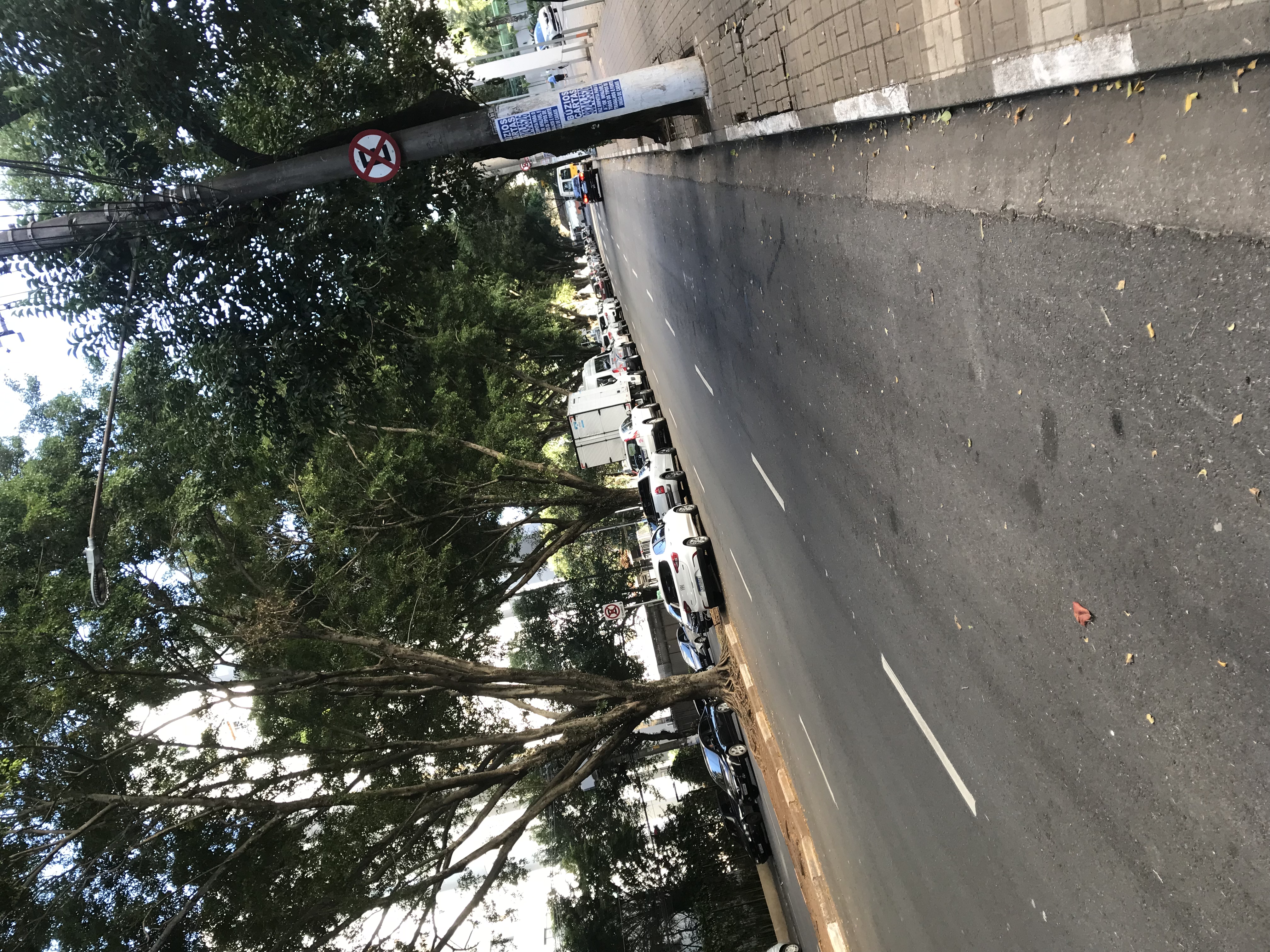 Shooting relaxed in São Paulo