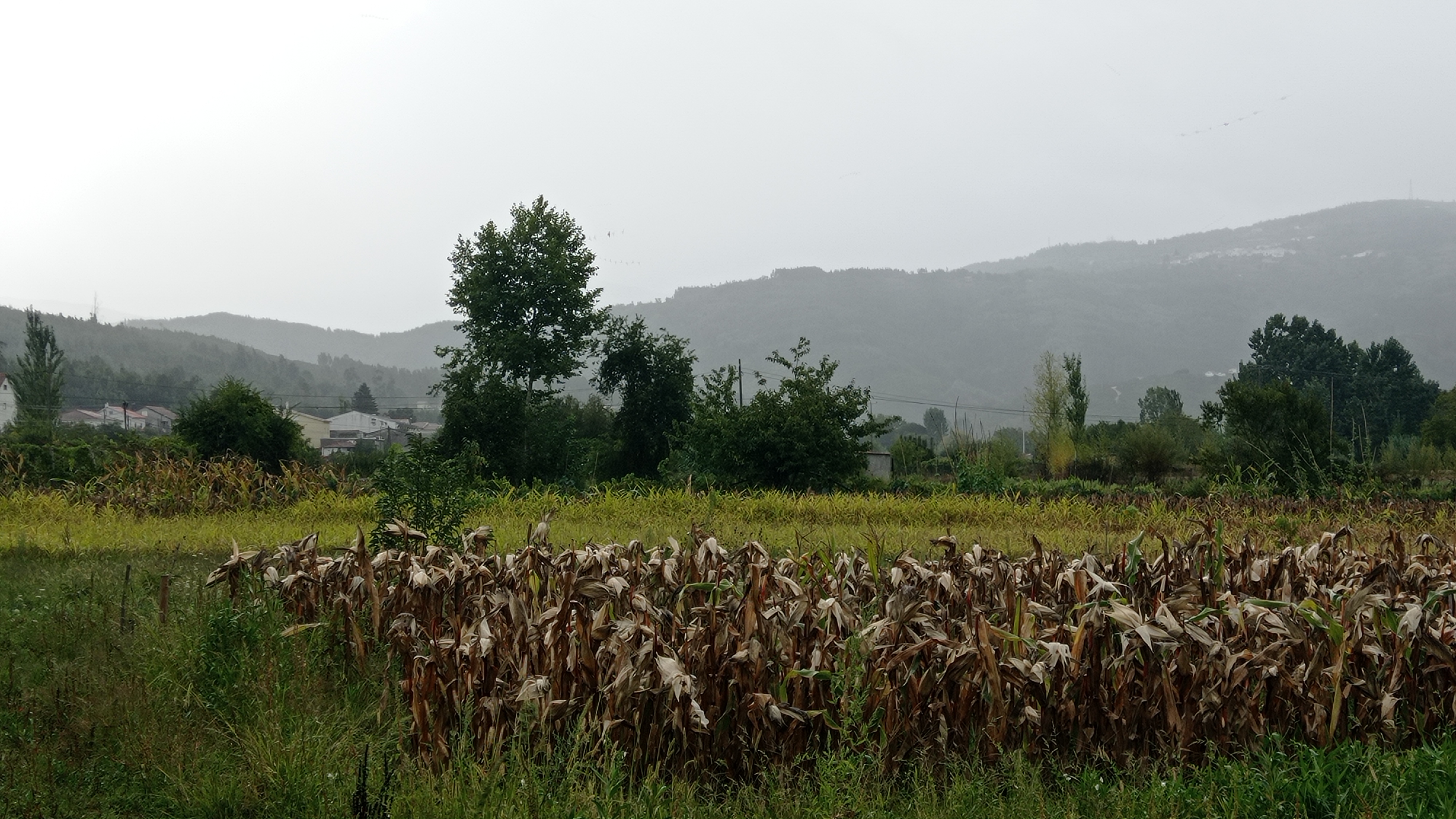 On Changing Seasons plus bonus Feel Good Movie Recommendation