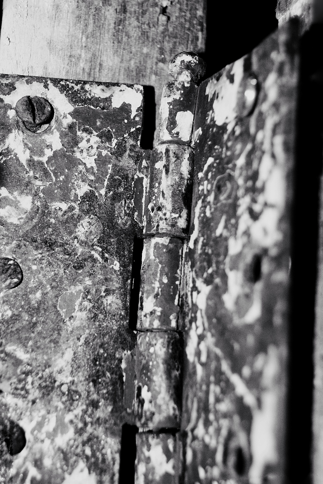 MONOMAD: Cosas Complejas/ Complex Things