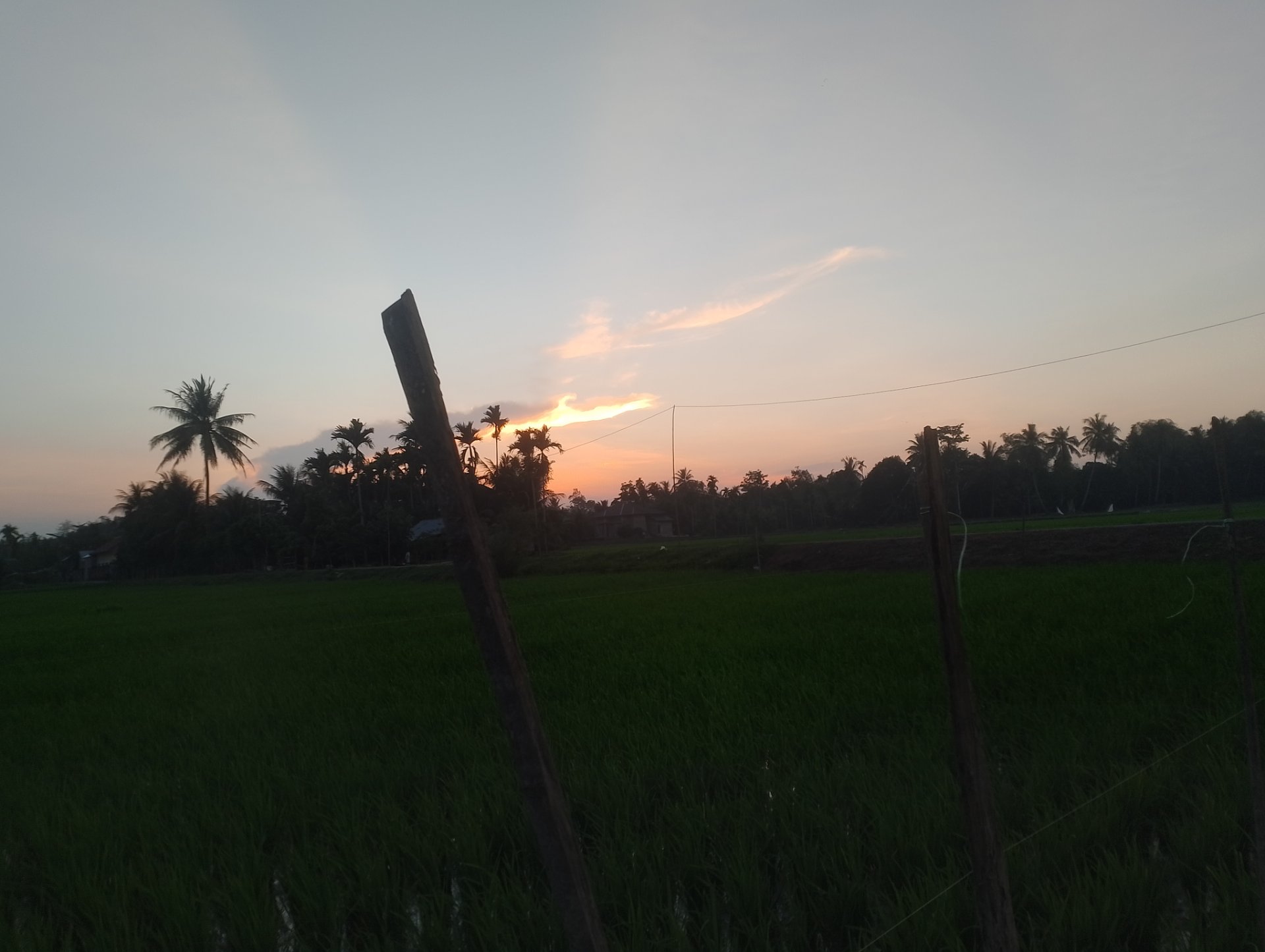 My Actifit Report Card: March 5 2026