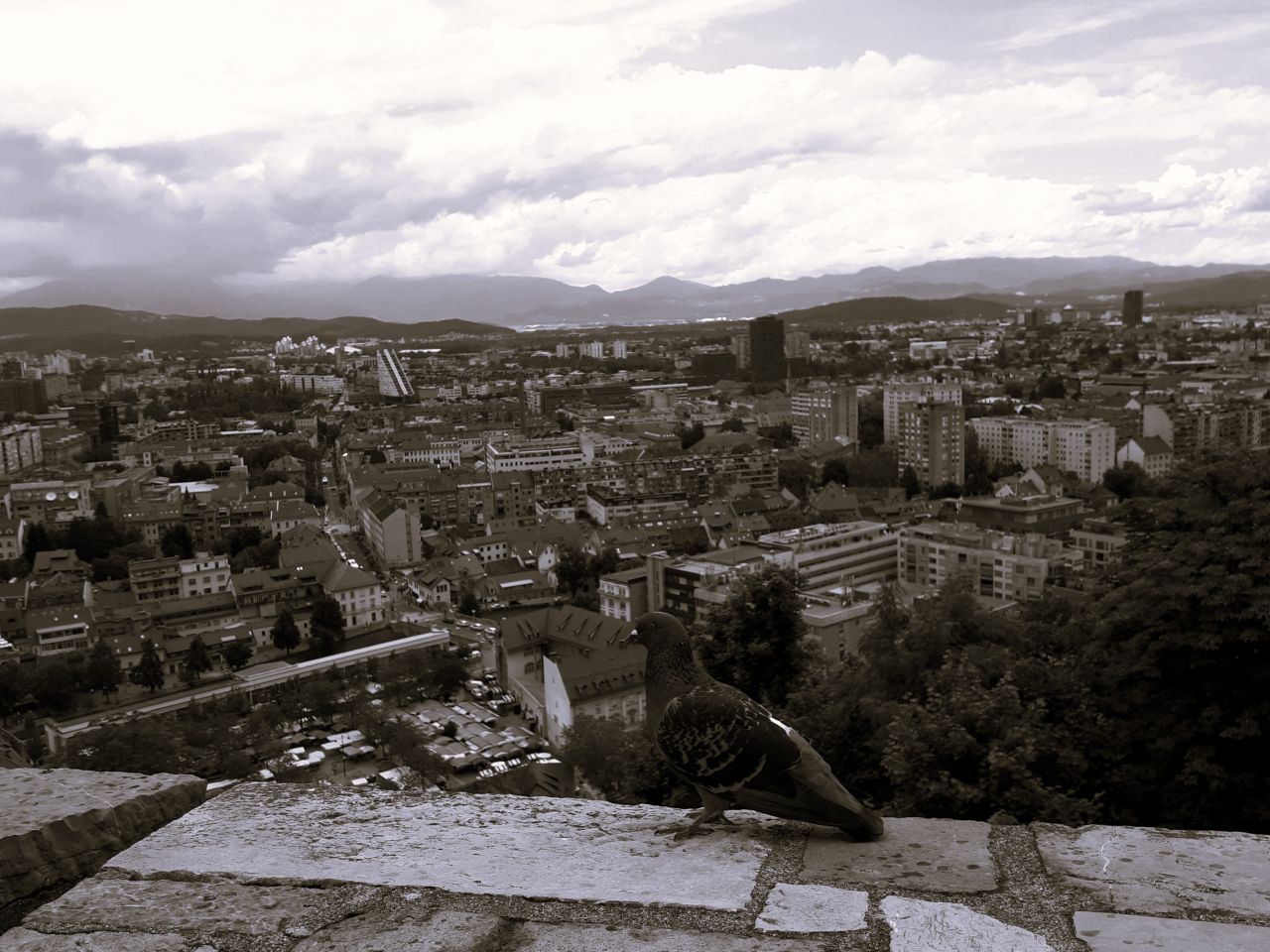 My Black And White Photography Challenge Entry #631