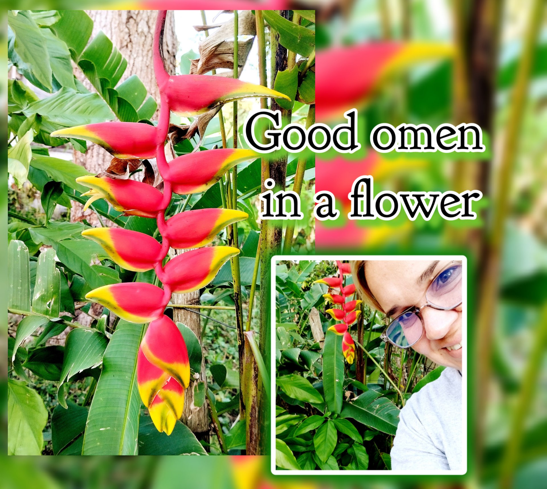 Good omen in a flower [Eng/Esp] 

