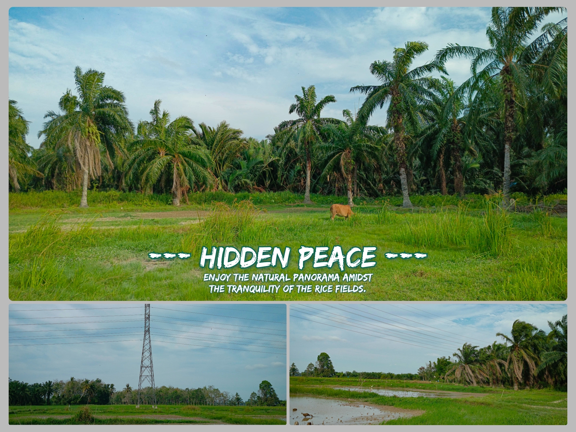 HIDDEN PEACE // Telling stories in the embrace of nature.