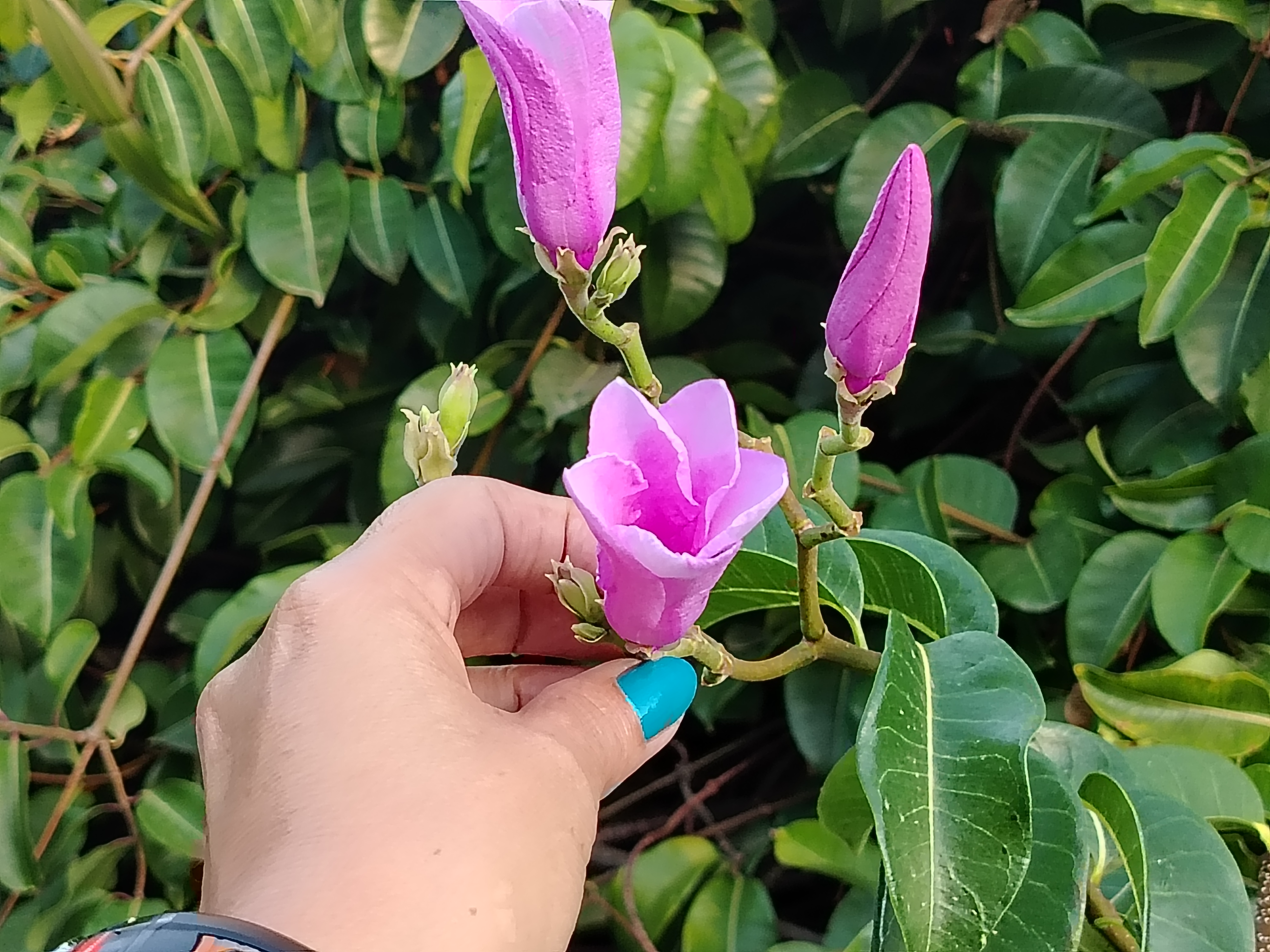 La red invisible: el valor de no estar solo/ The invisible network: the value of not being alone 👨‍👩‍👧‍👦