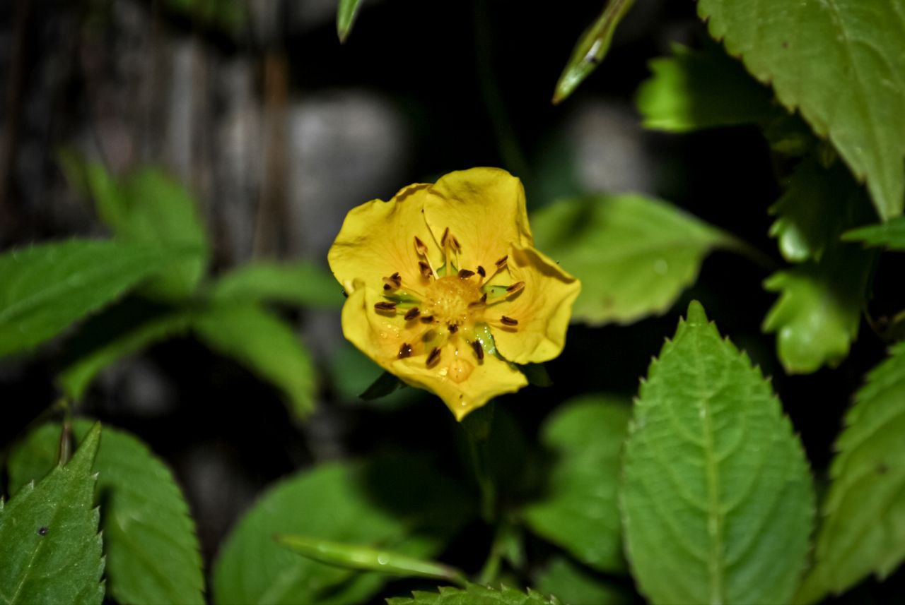 📸  Memories And Emotions Of Warm Days And Evenings  🌿