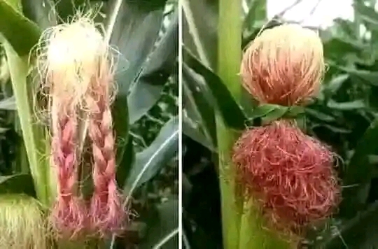 A Blast from the Past: Childhood Memories