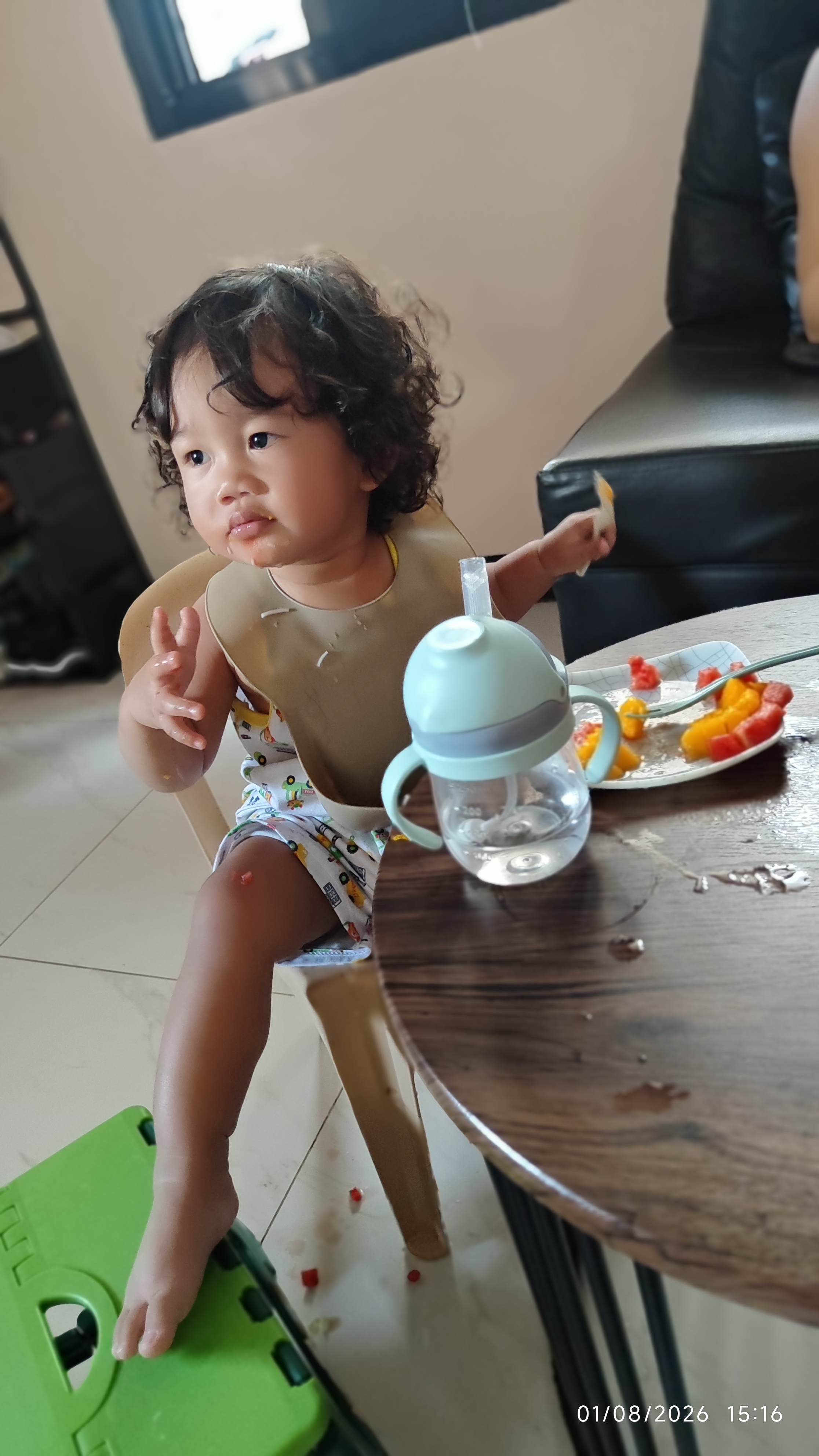 Went out to canvas divider for our living room and dining but we have a toddler so;