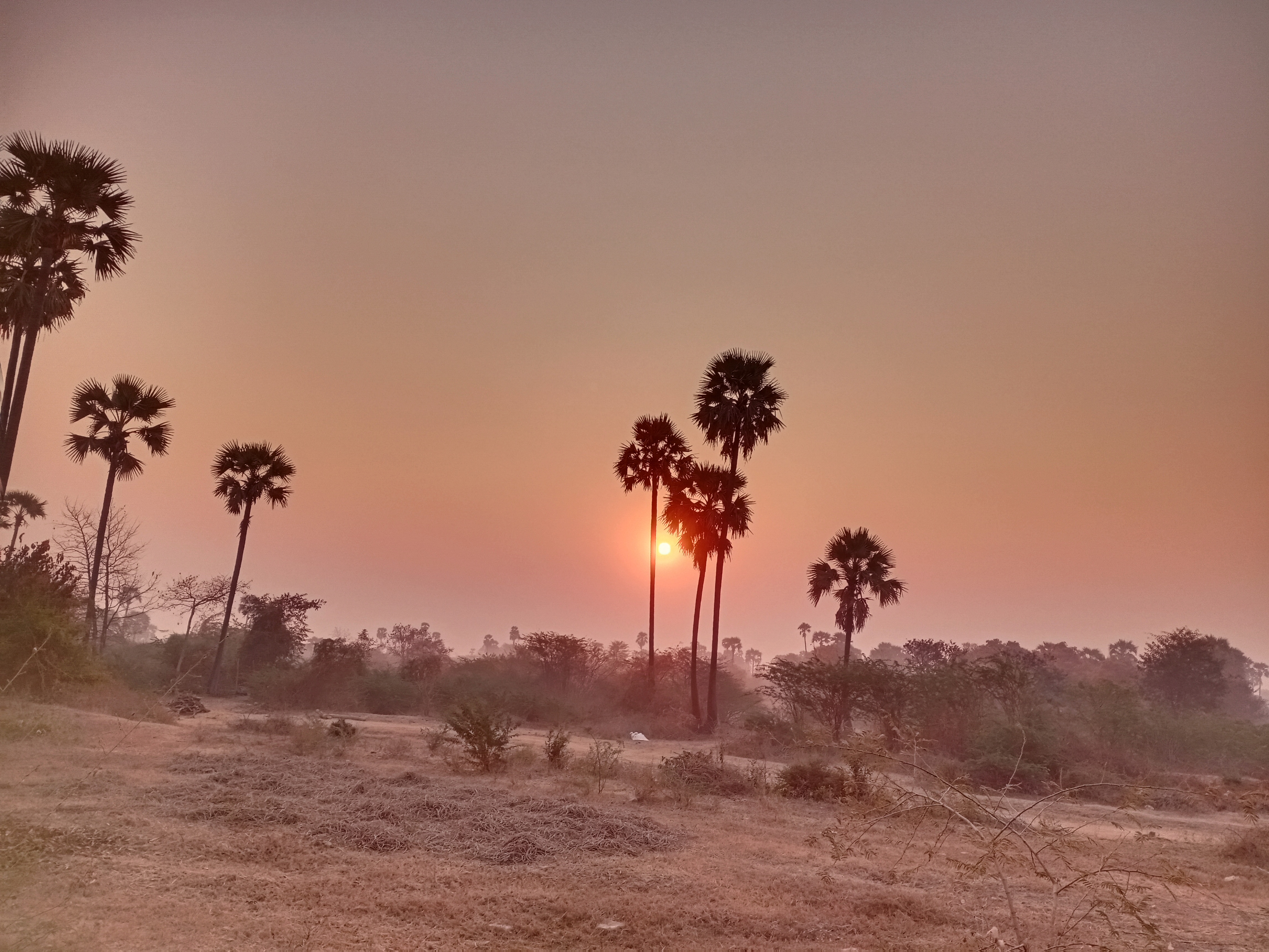 Sunrise Phone Photography Entry 